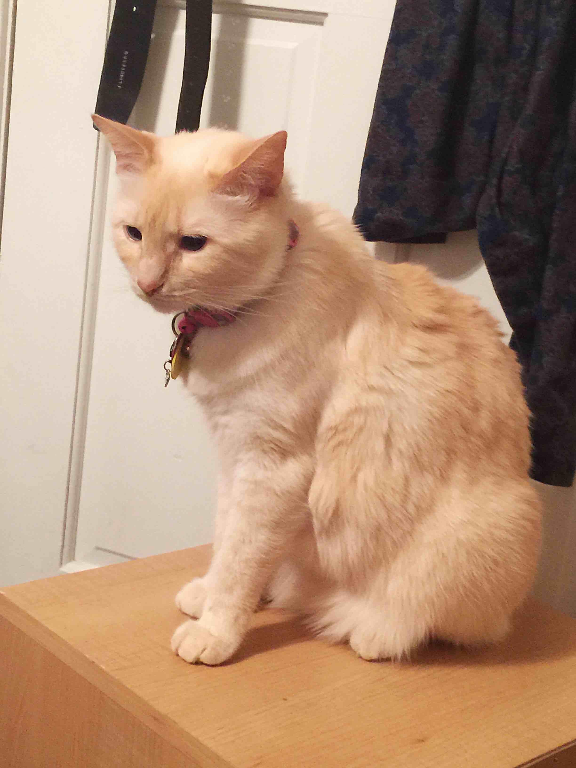 Question details sensitive content