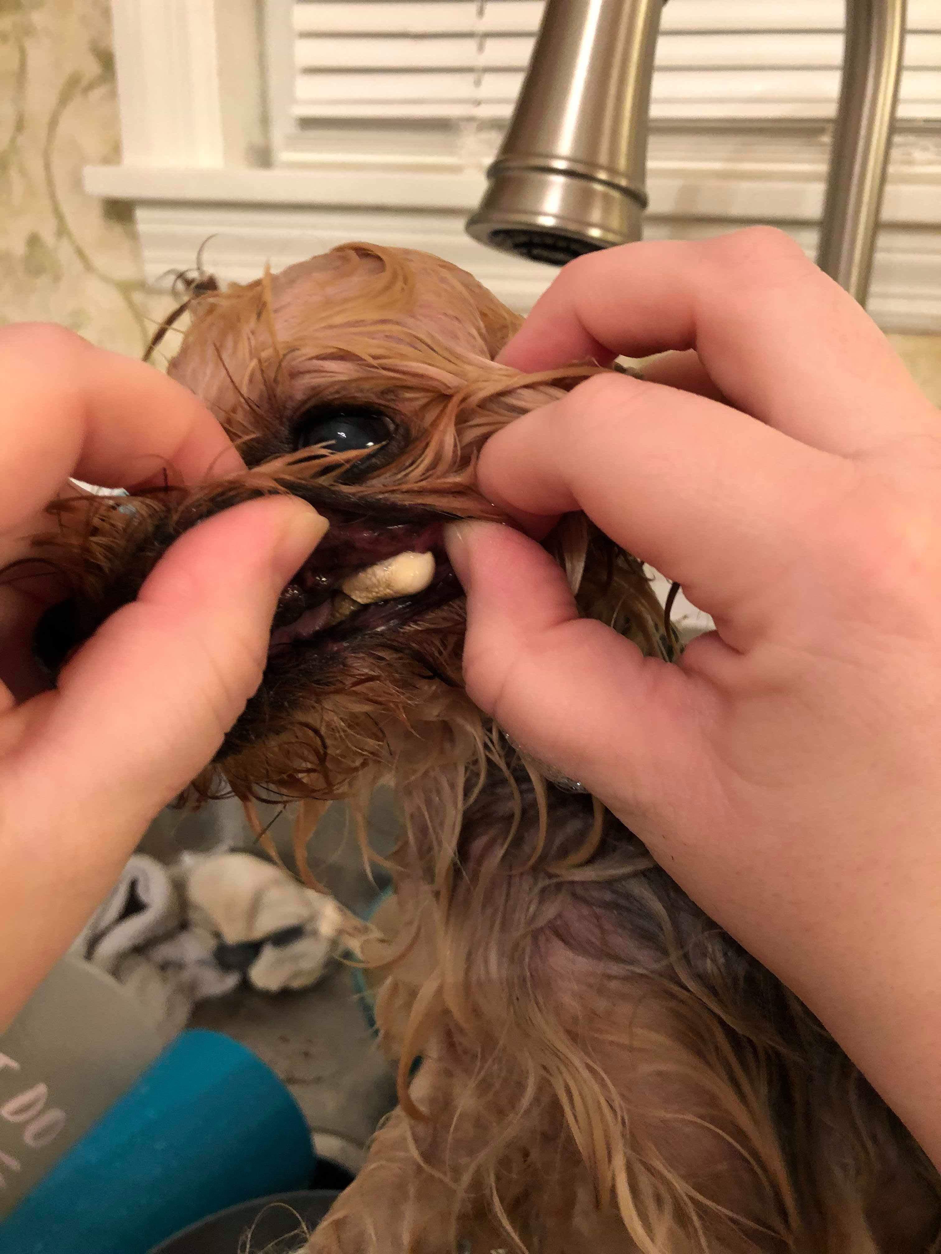 Question details sensitive content