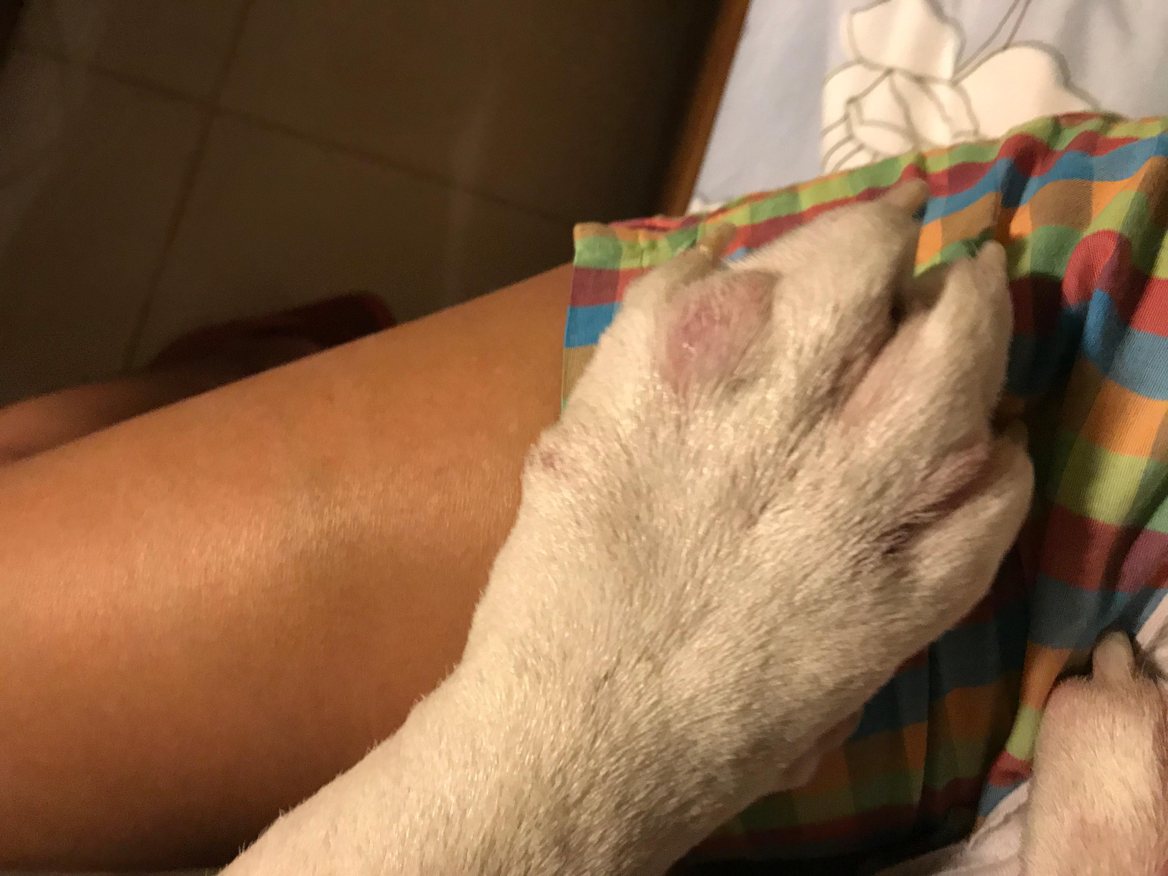 Question details sensitive content