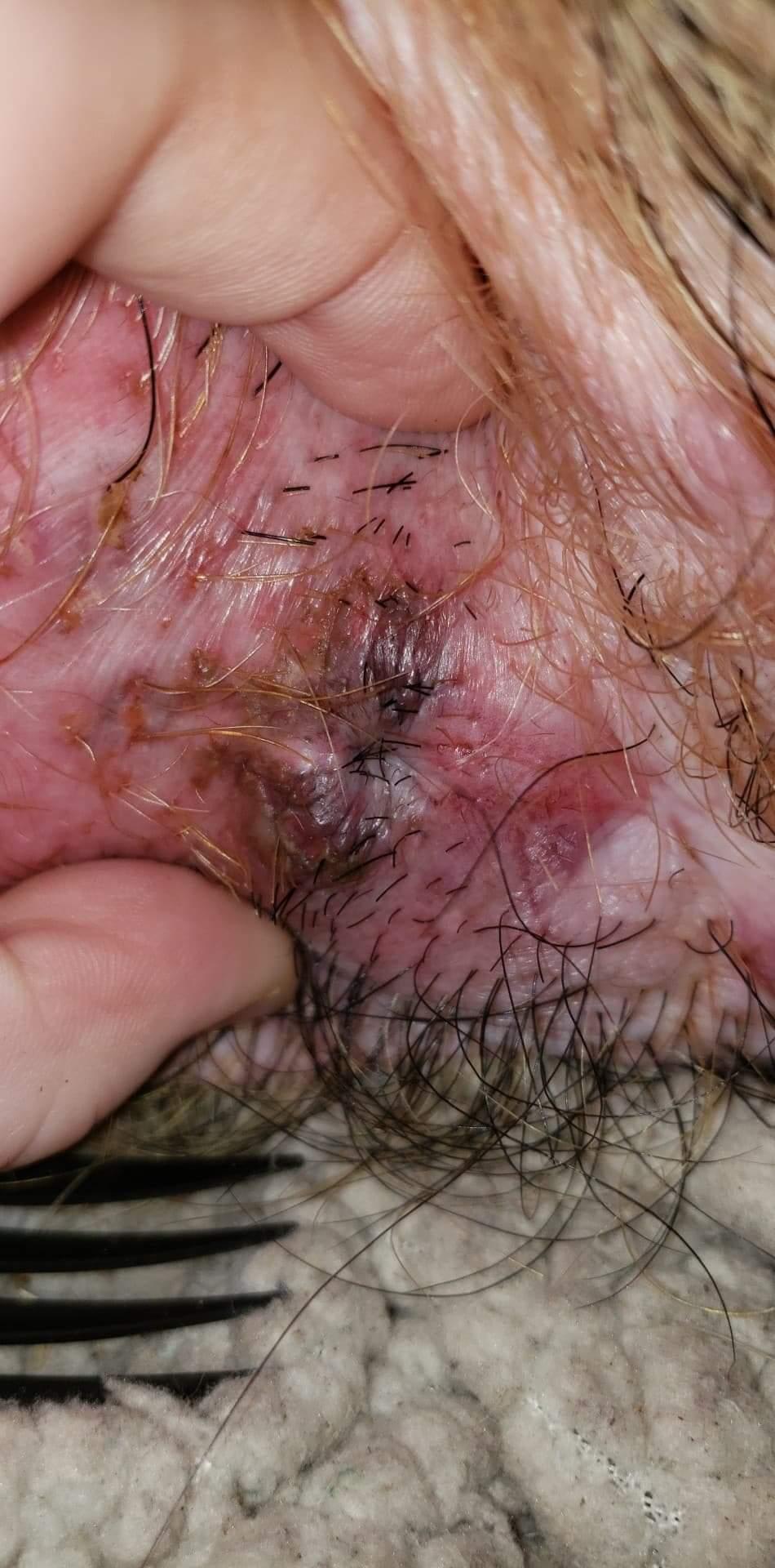 Question details sensitive content