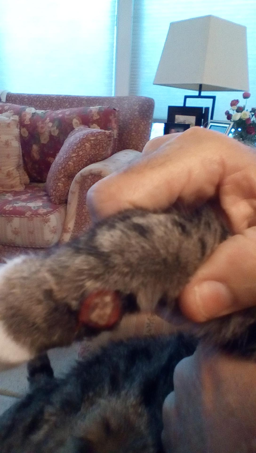 Question details sensitive content