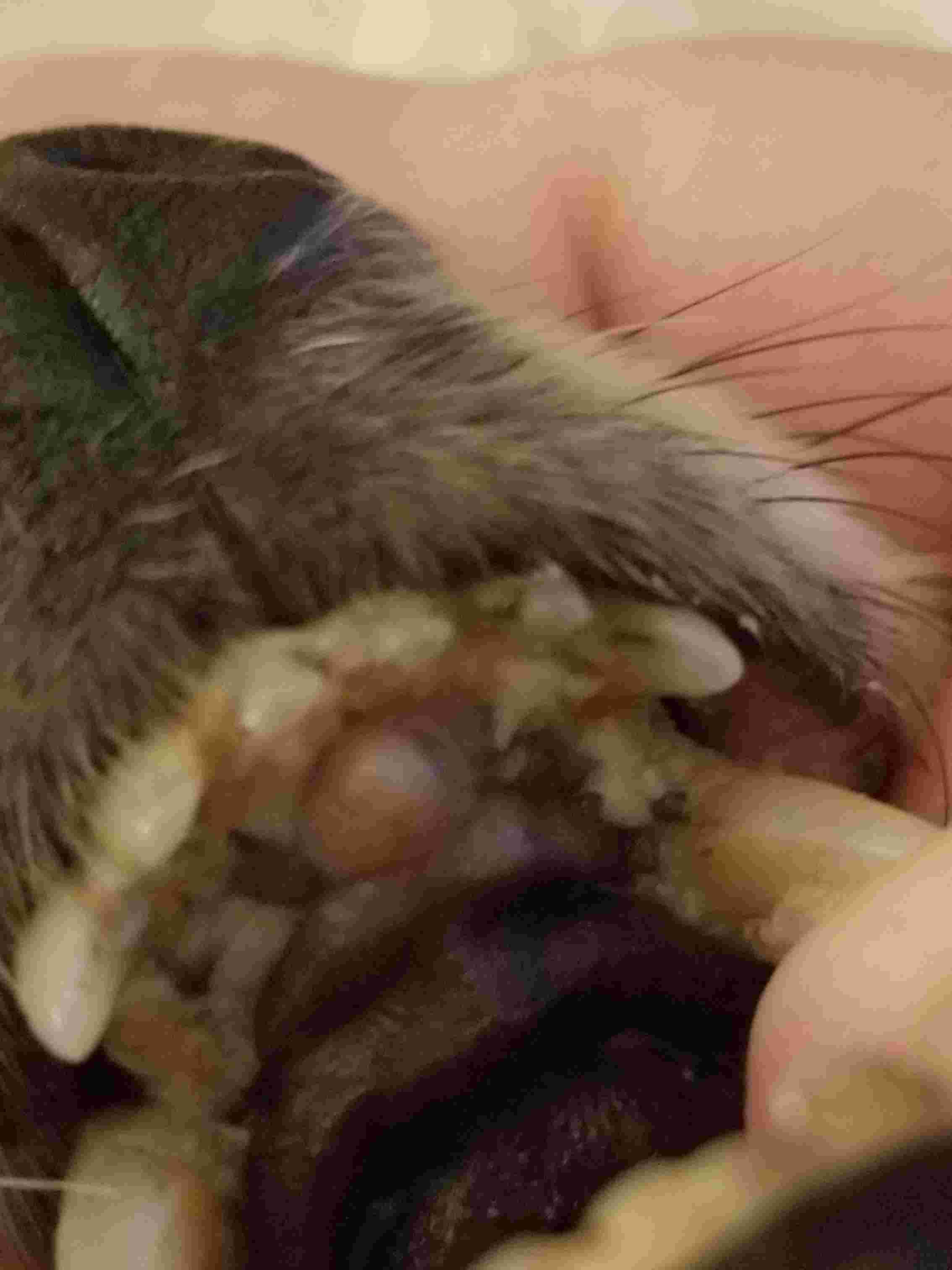 Question details sensitive content