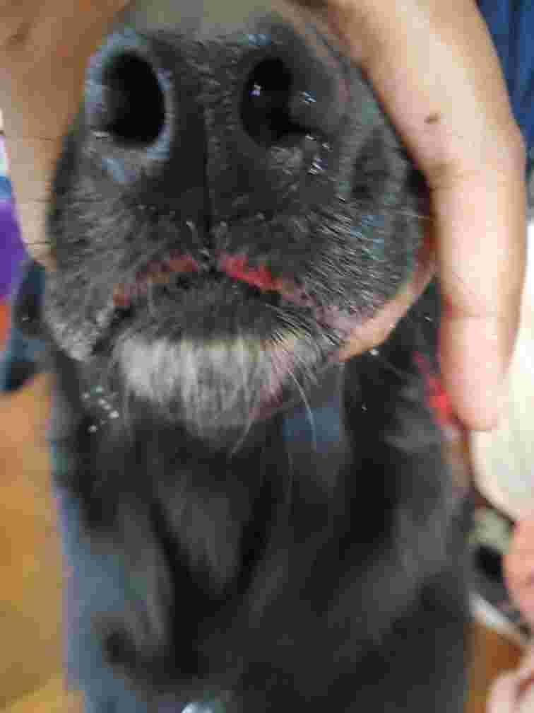 Question details sensitive content