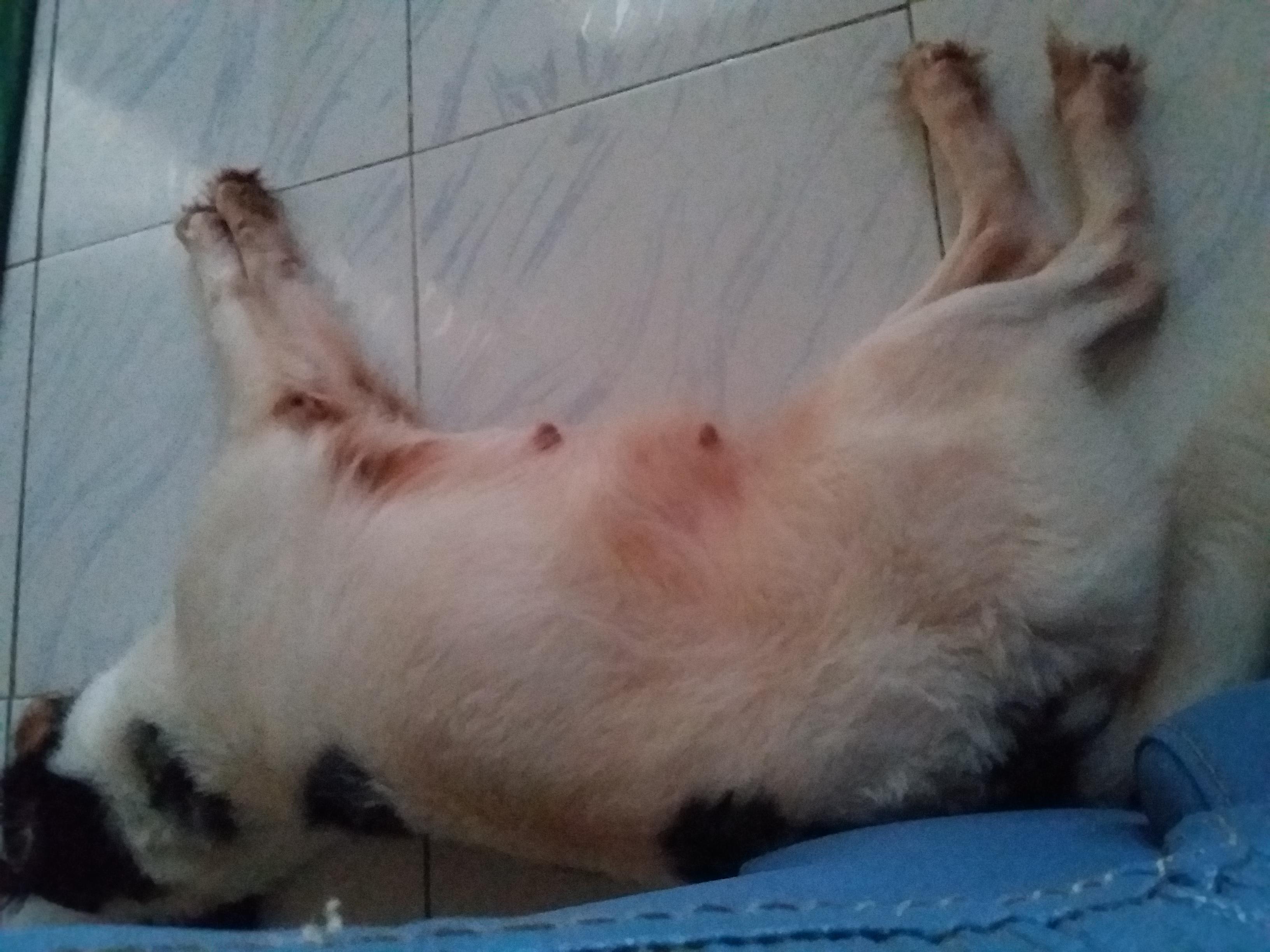 Question details sensitive content