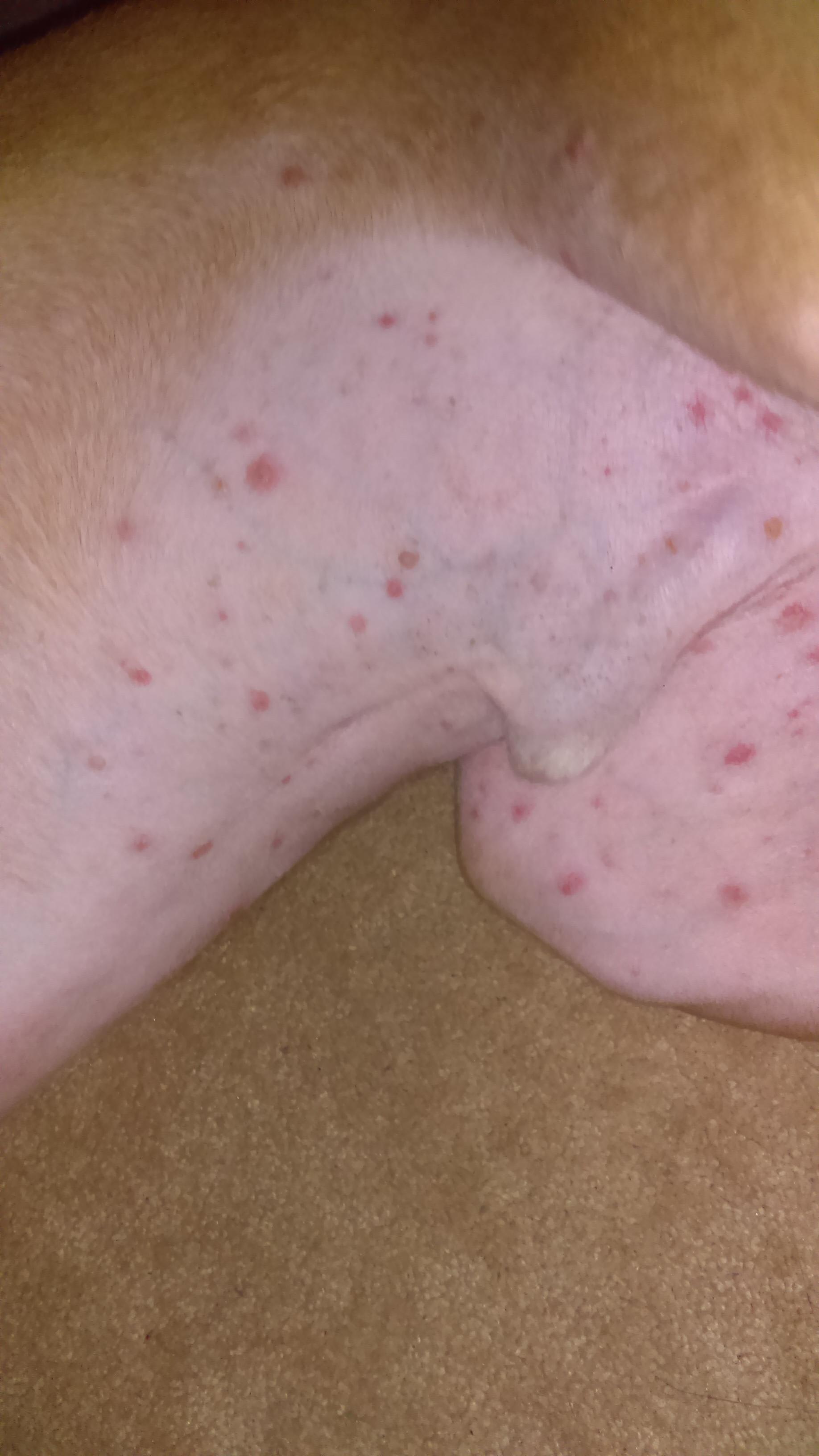 Question details sensitive content