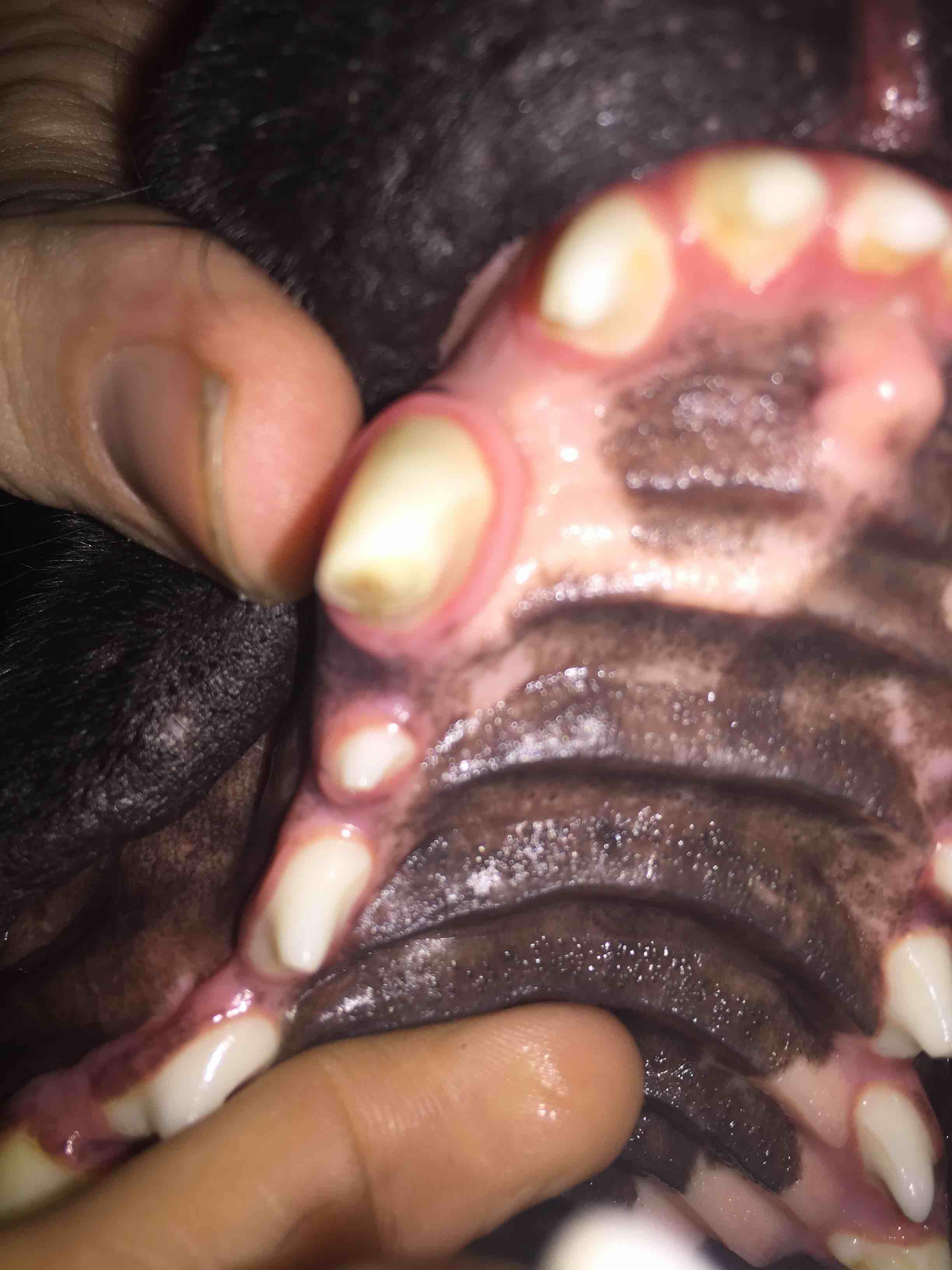 Question details sensitive content