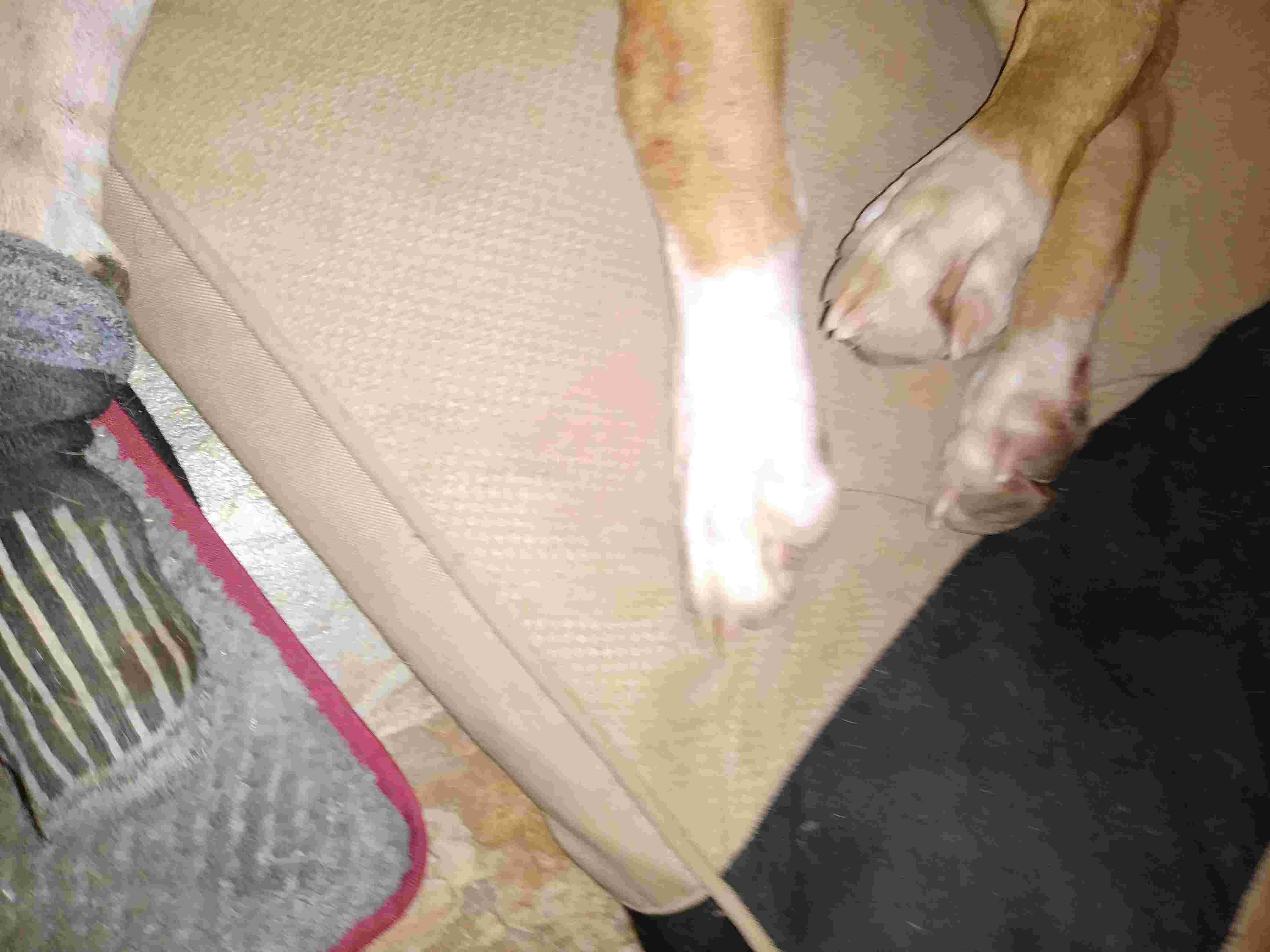 Question details sensitive content