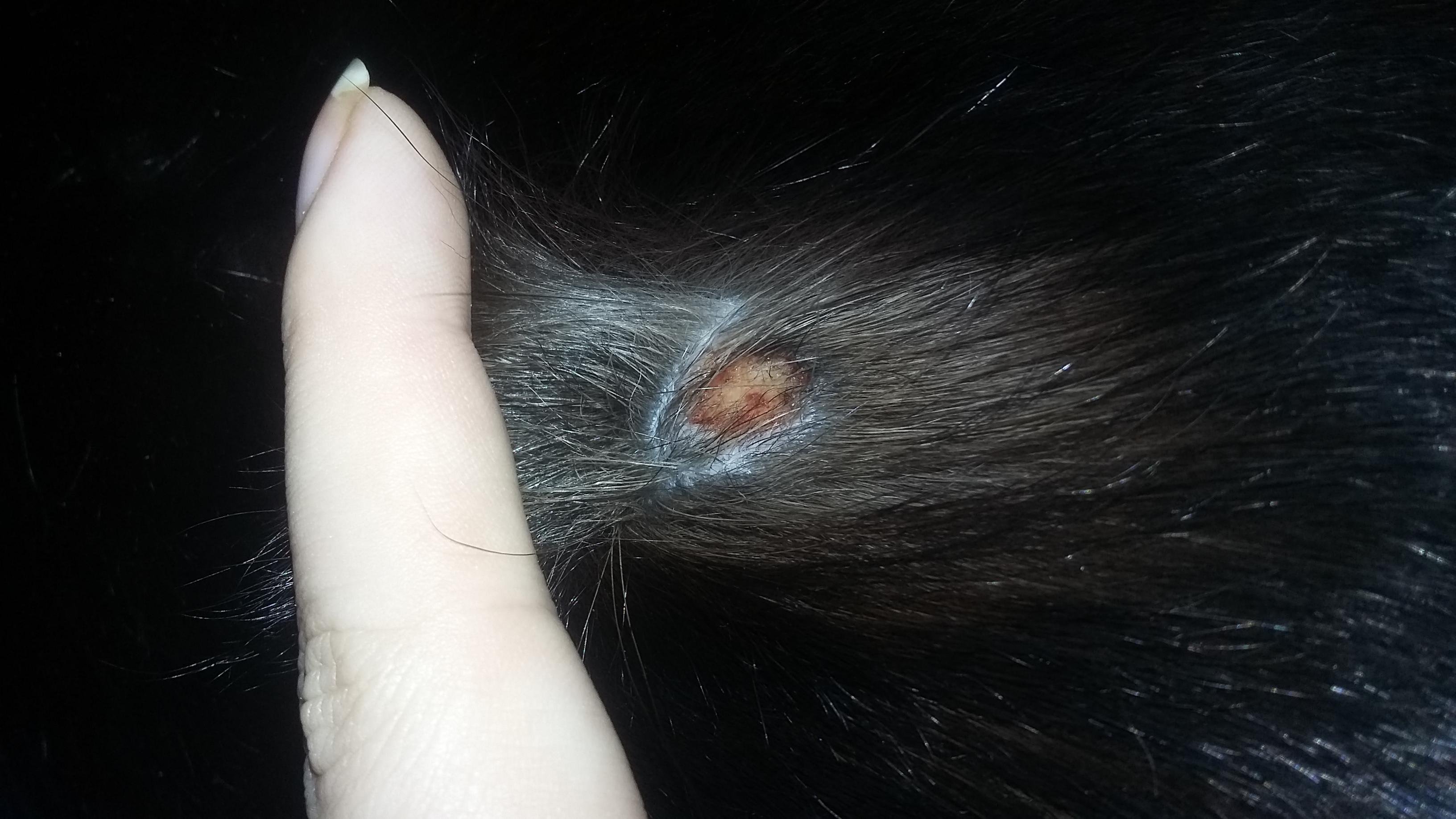 Question details sensitive content