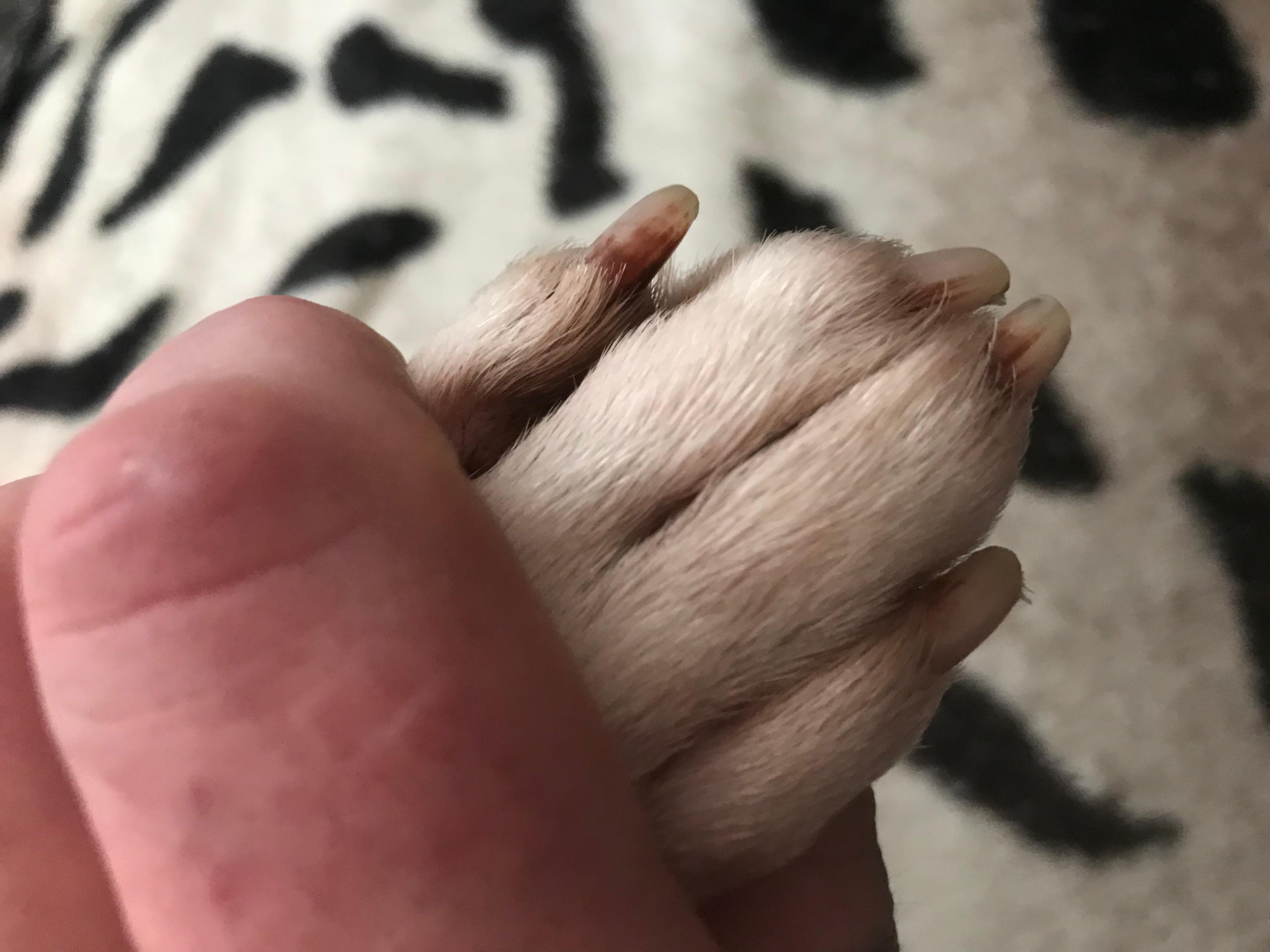 Question details sensitive content