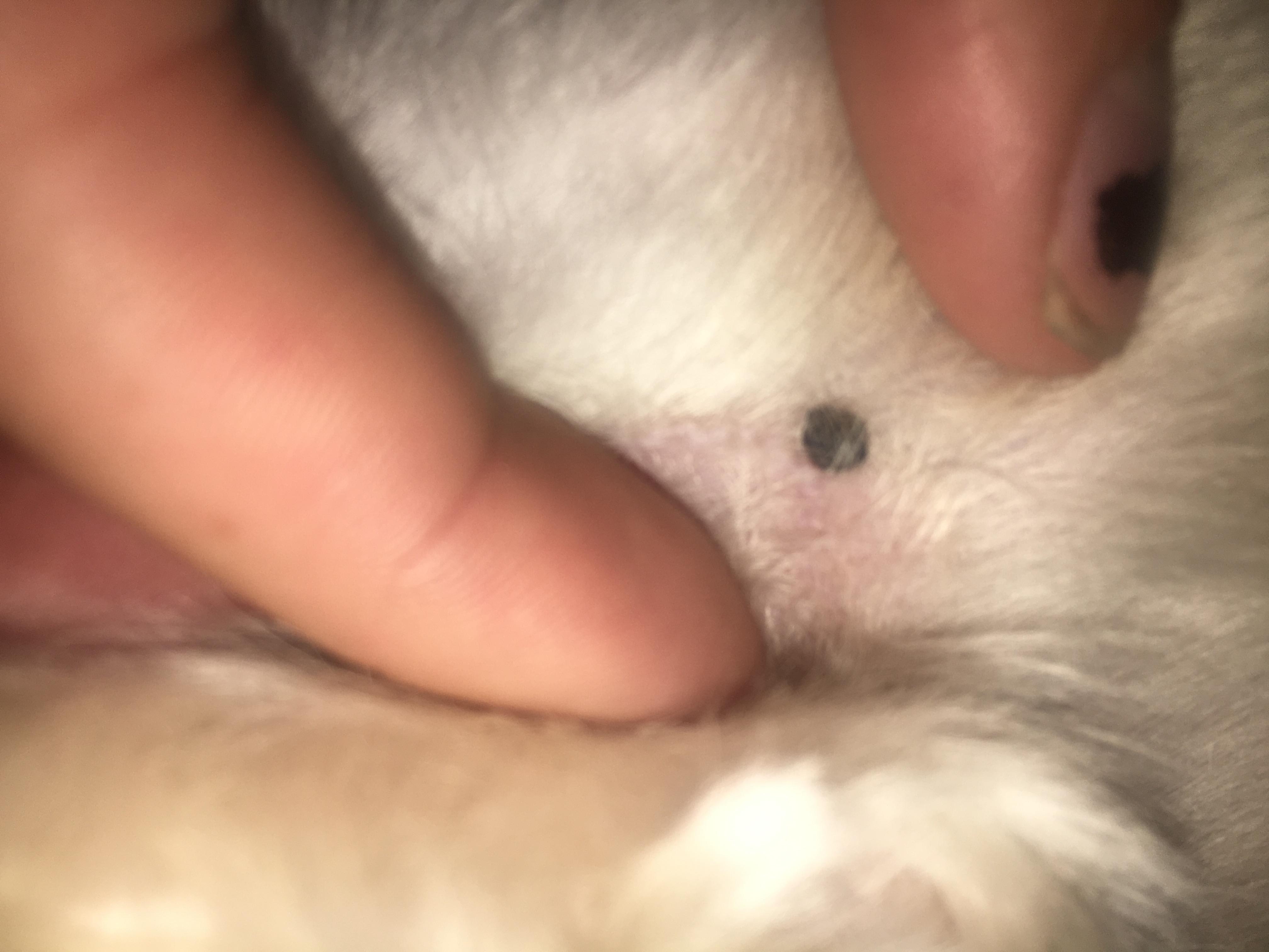 Question details sensitive content