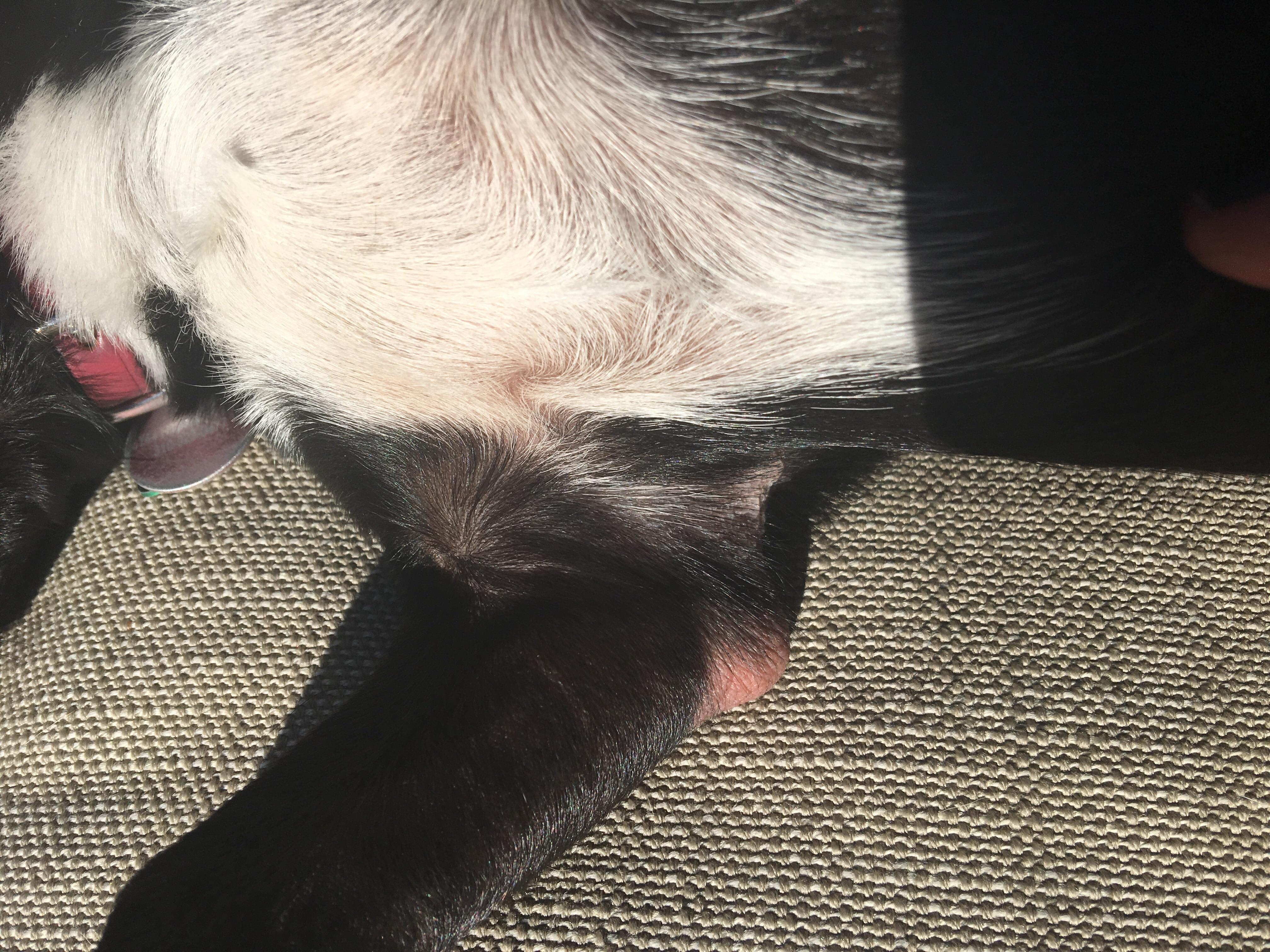 Question details sensitive content