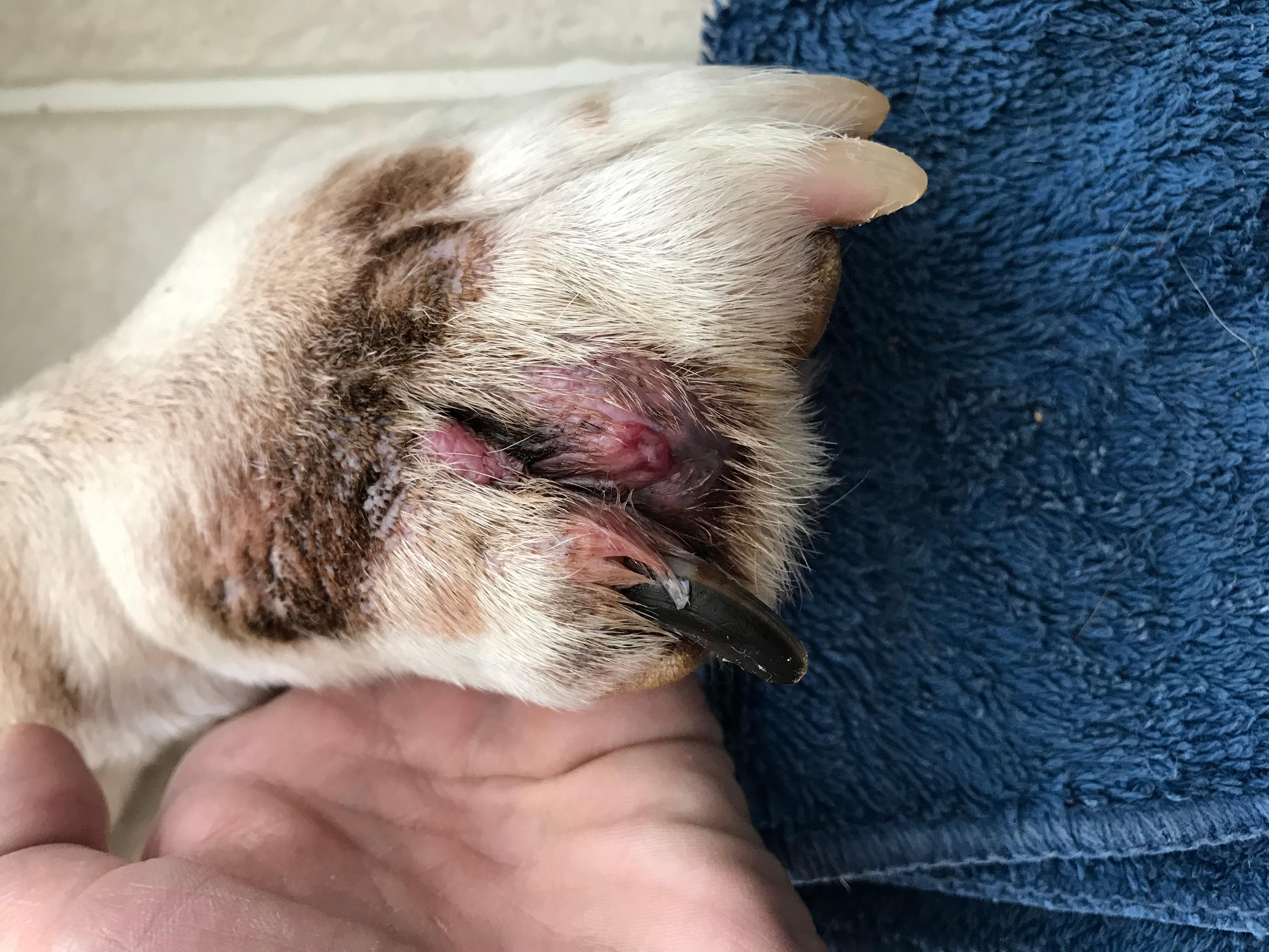 Question details sensitive content