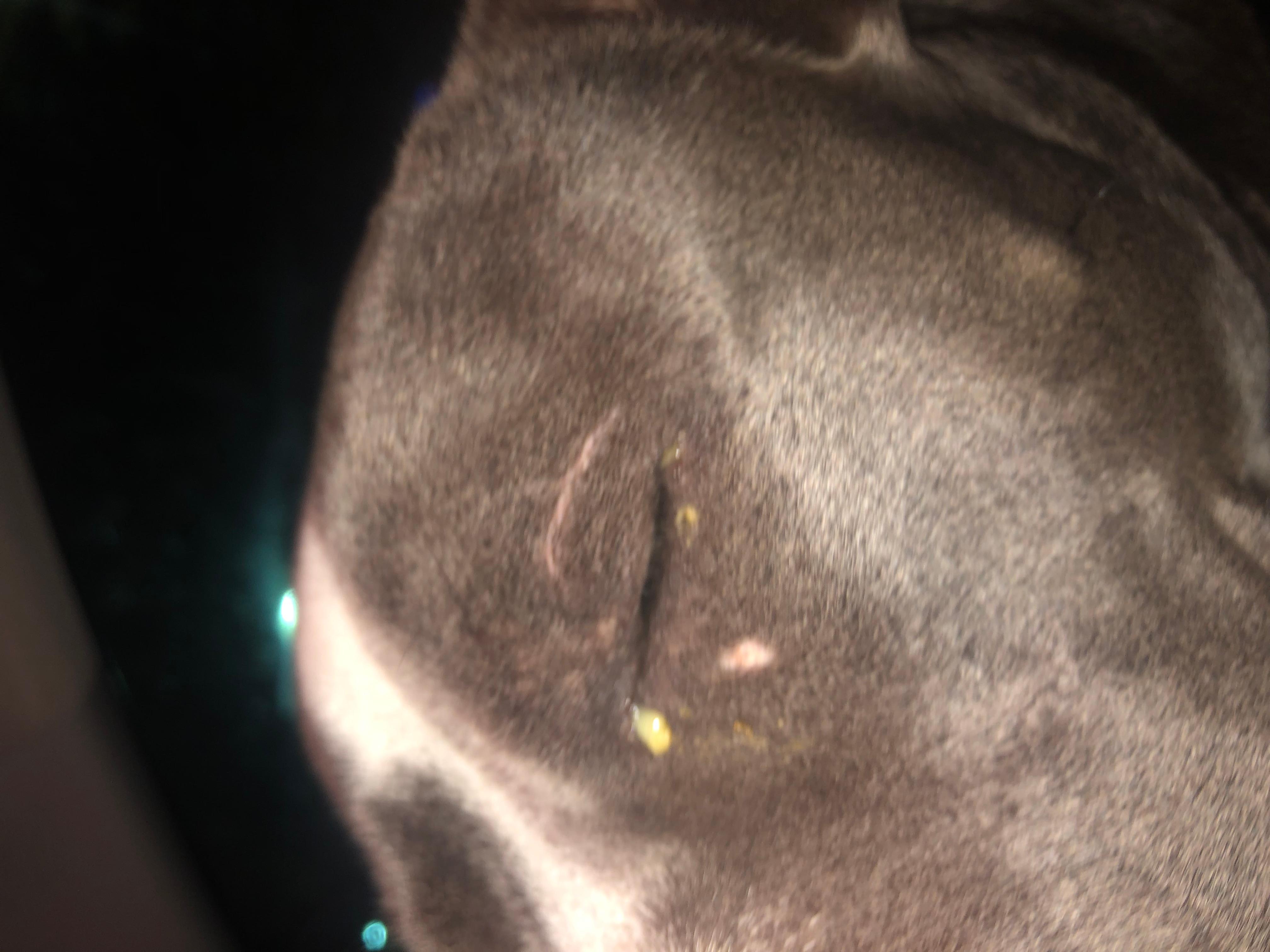 Question details sensitive content