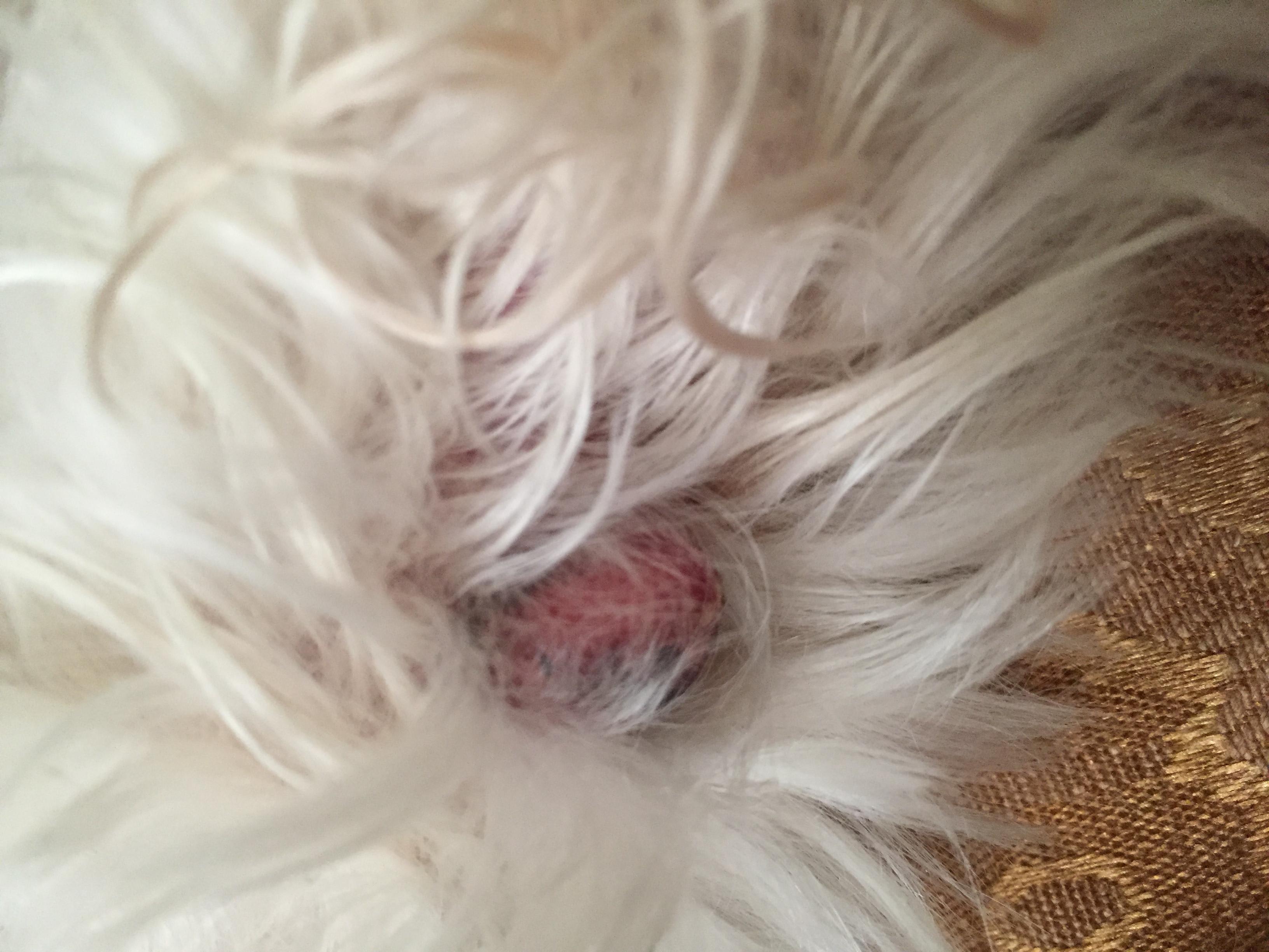 Question details sensitive content