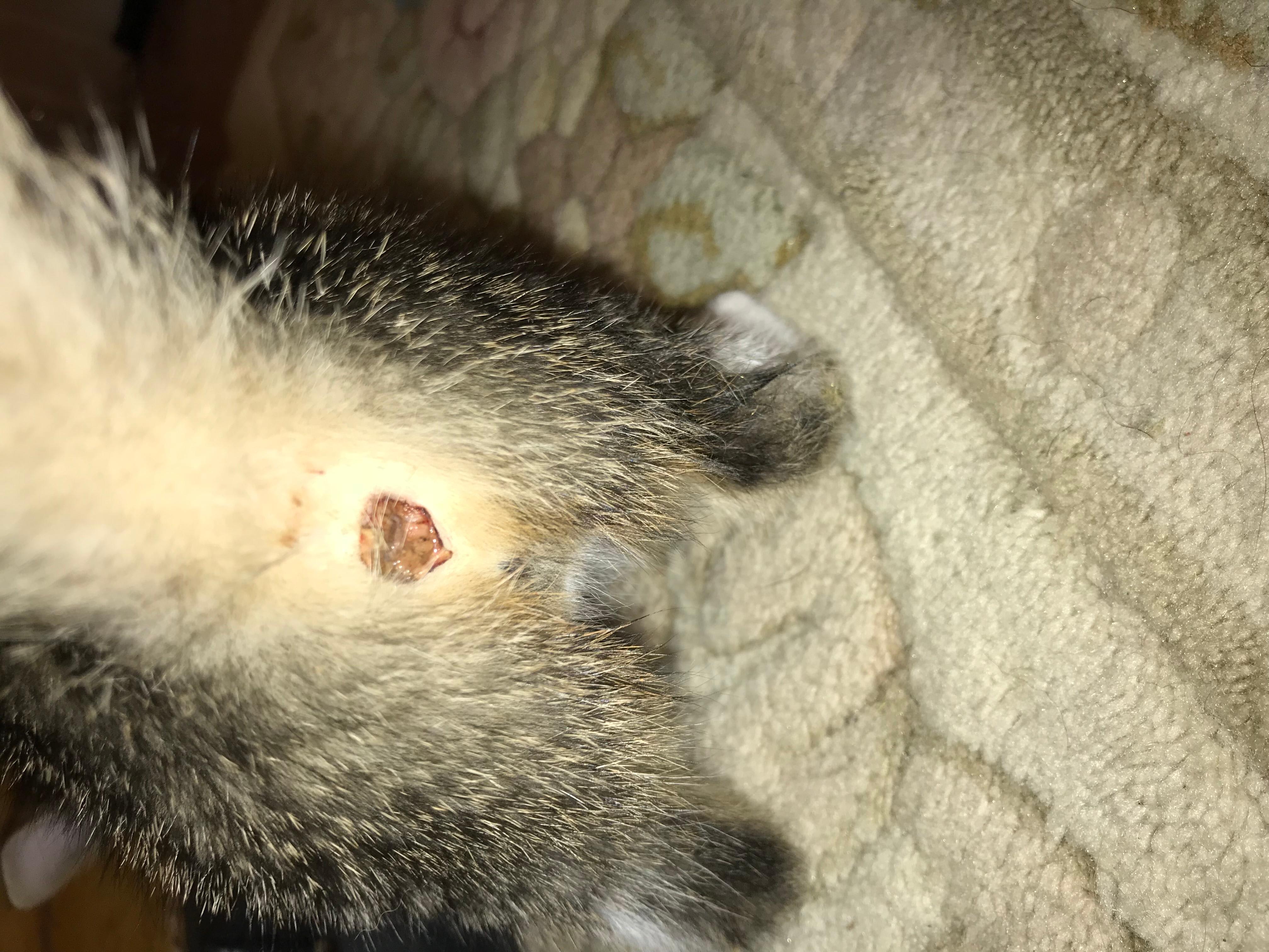 Question details sensitive content