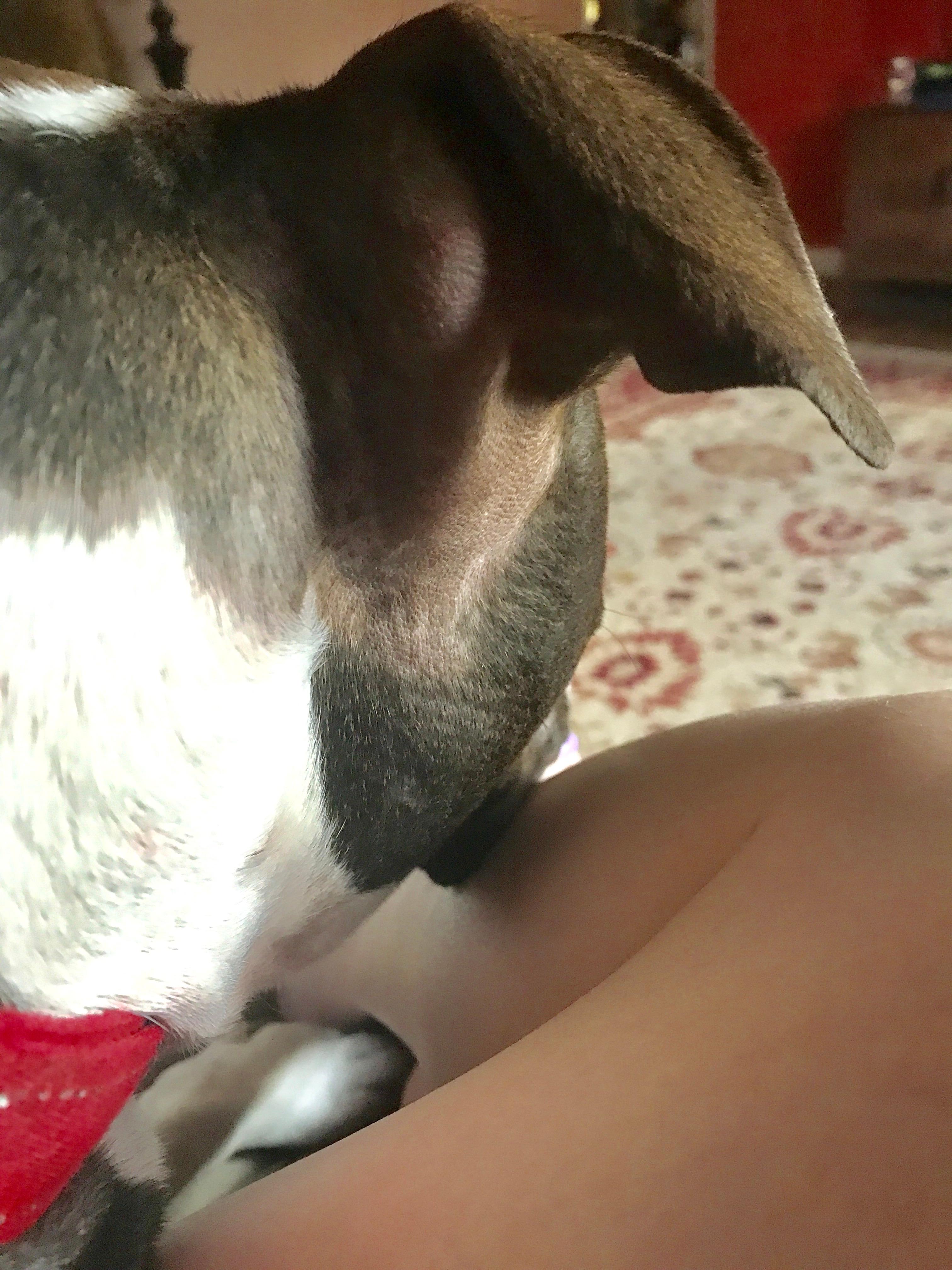 Question details sensitive content