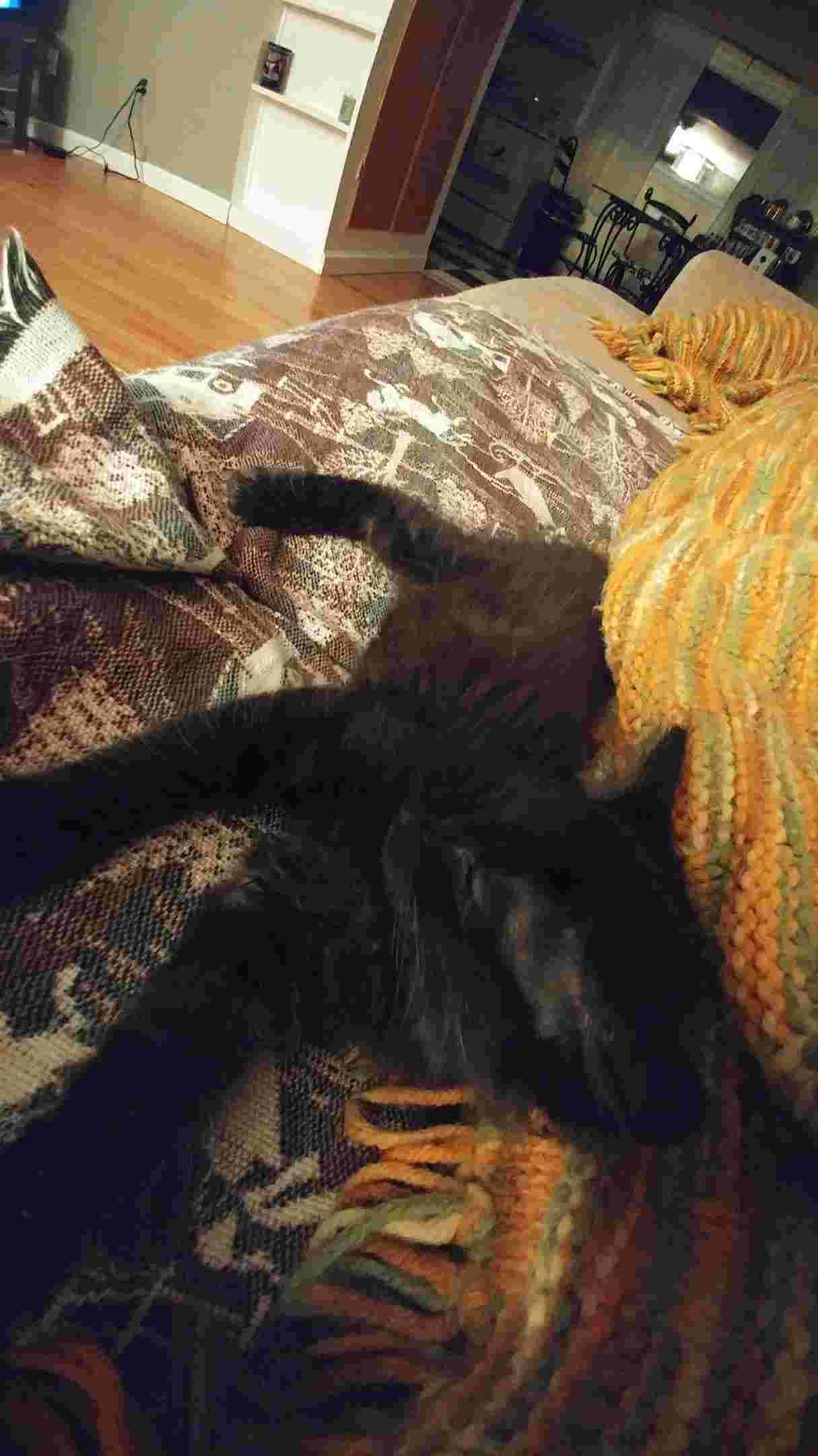 Question details sensitive content