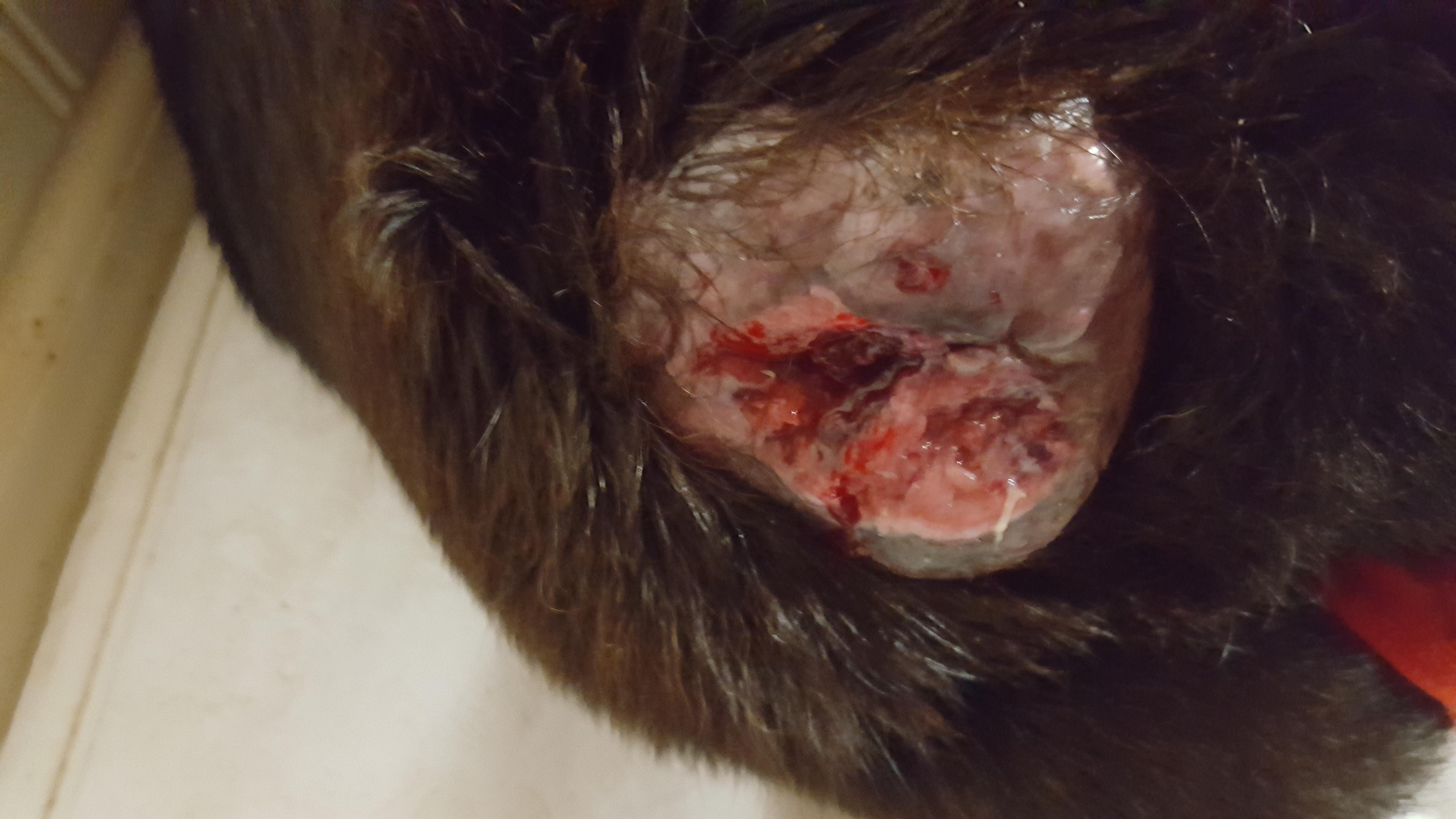 Question details sensitive content