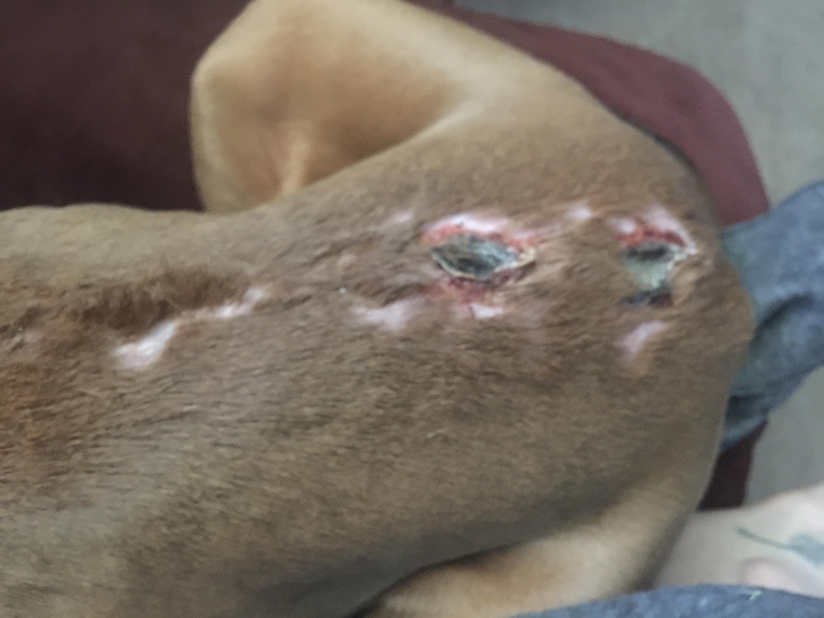 Question details sensitive content