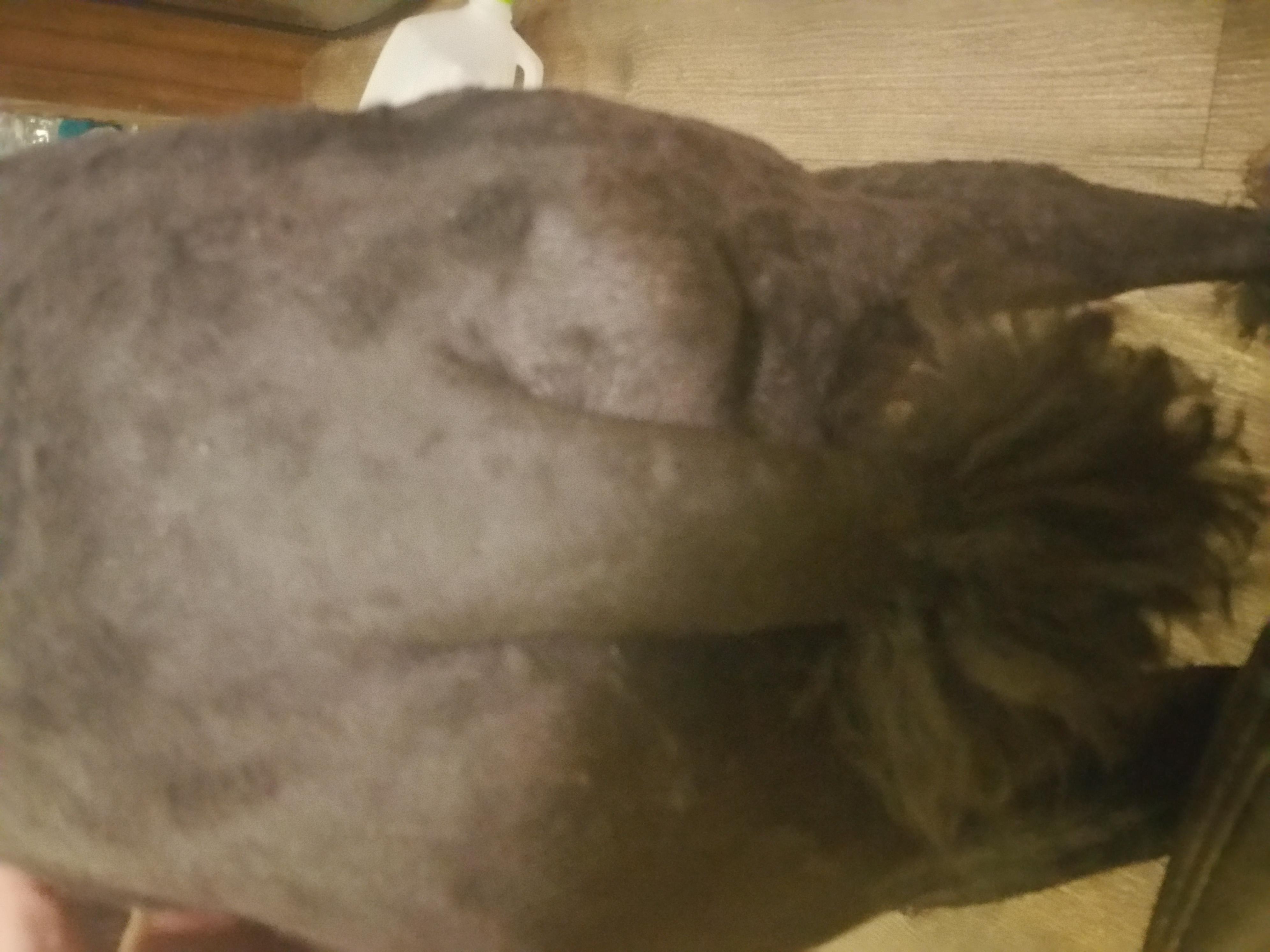 Question details sensitive content