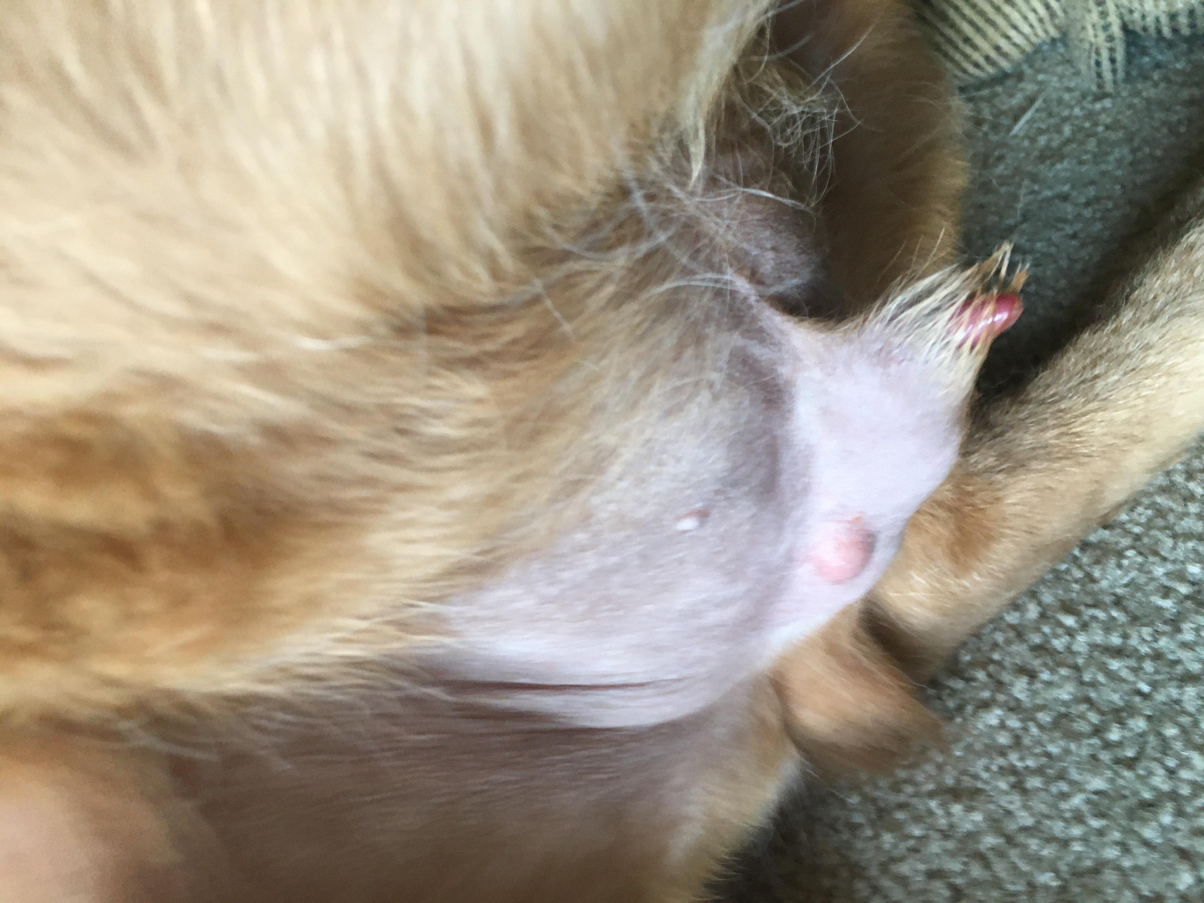 Question details sensitive content