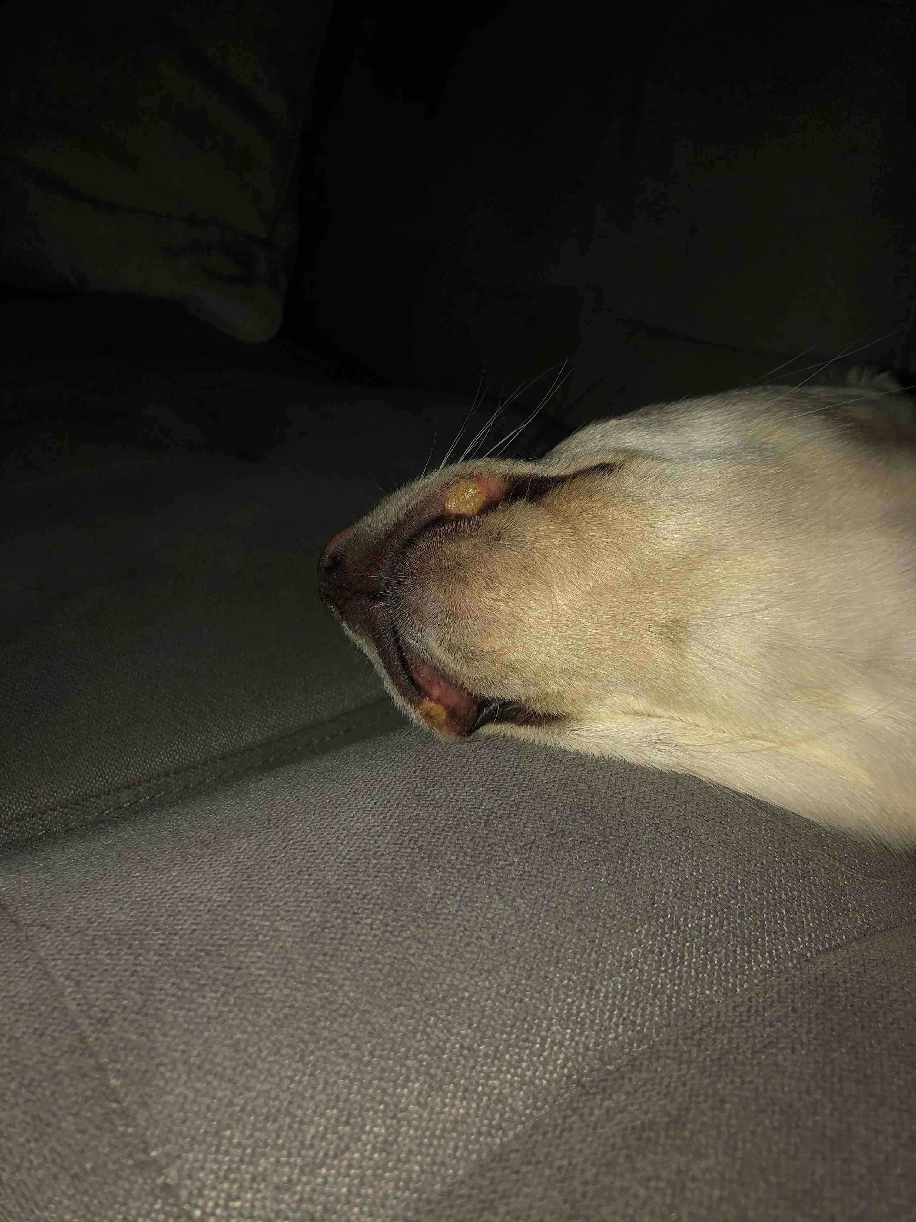 Question details sensitive content