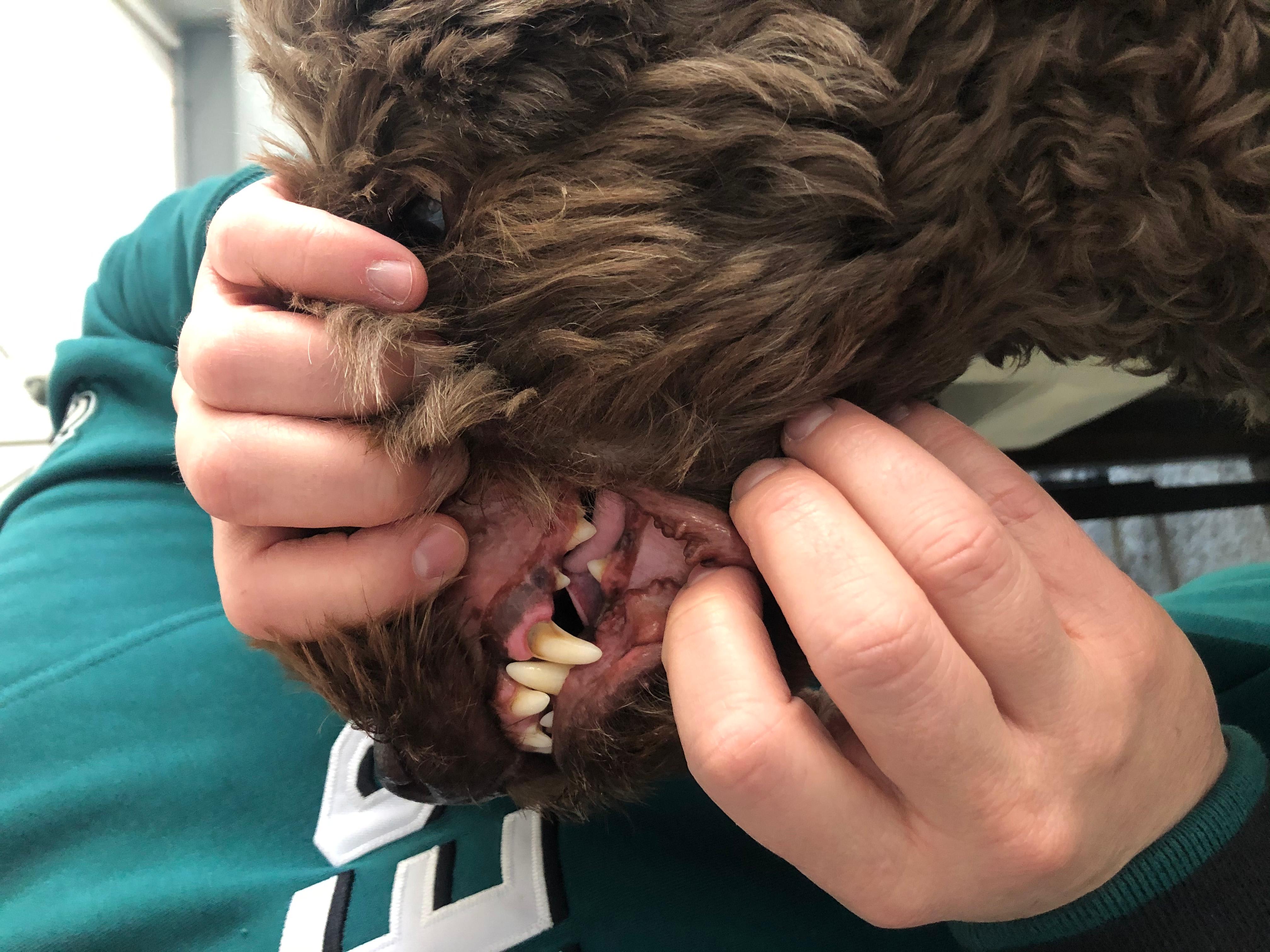 Question details sensitive content