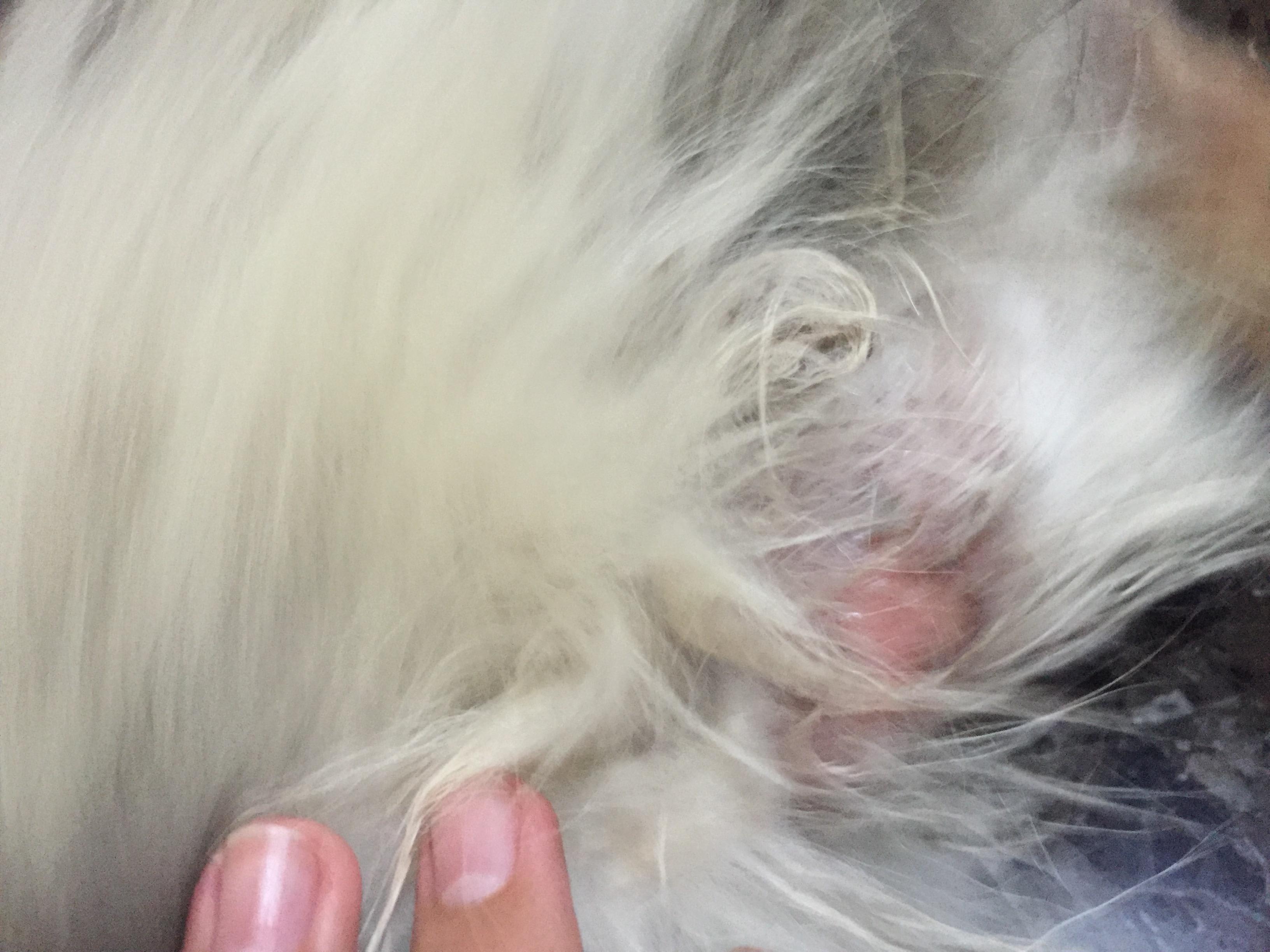 Question details sensitive content