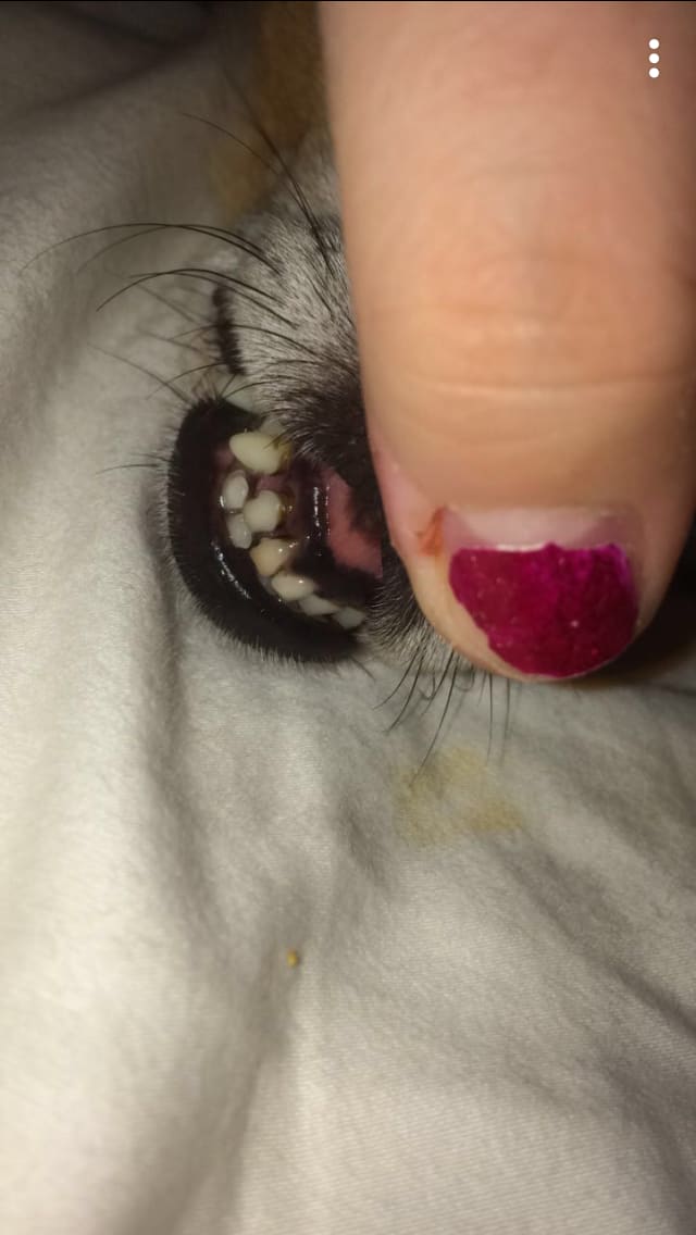 Question details sensitive content