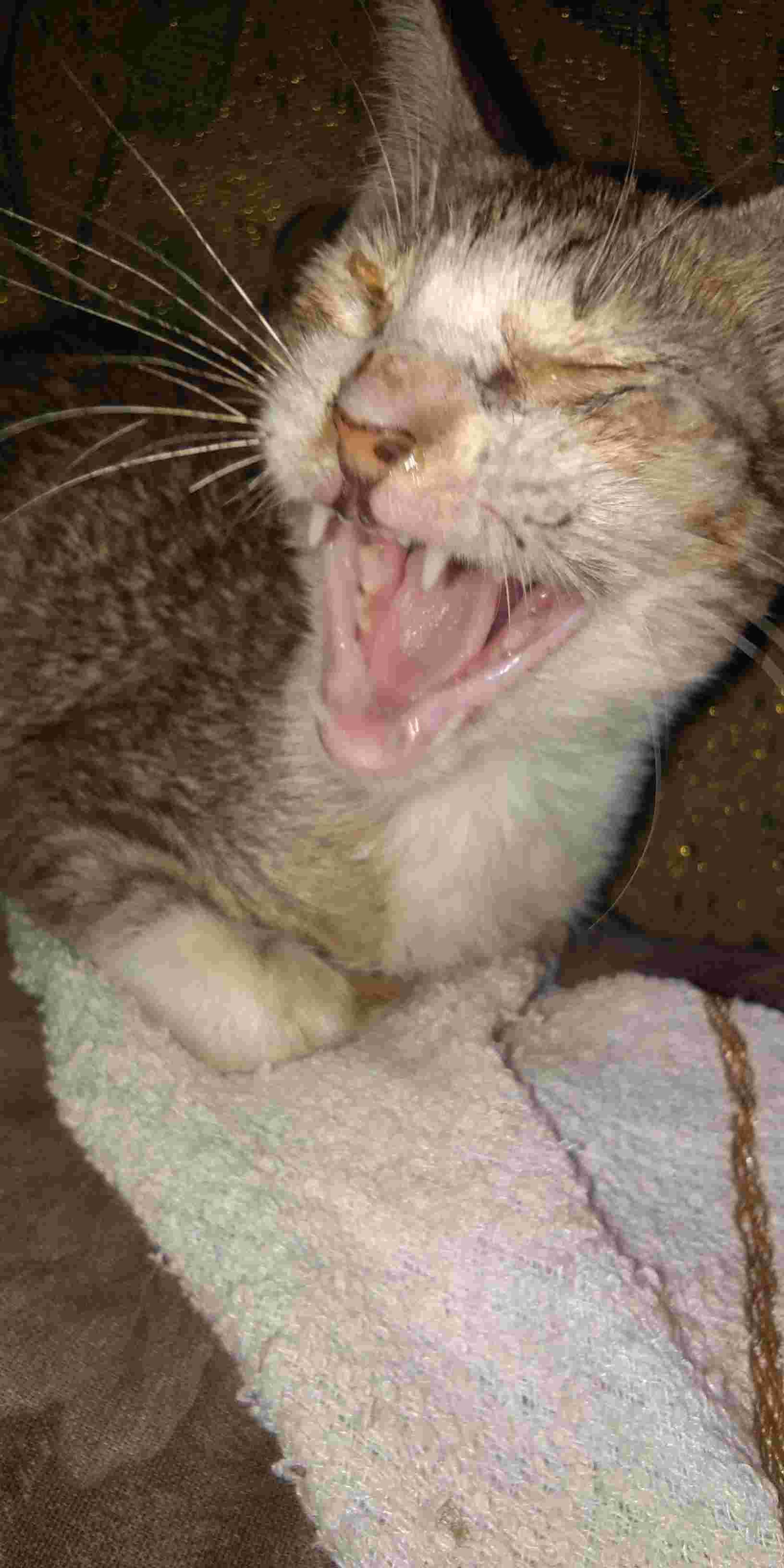 Question details sensitive content