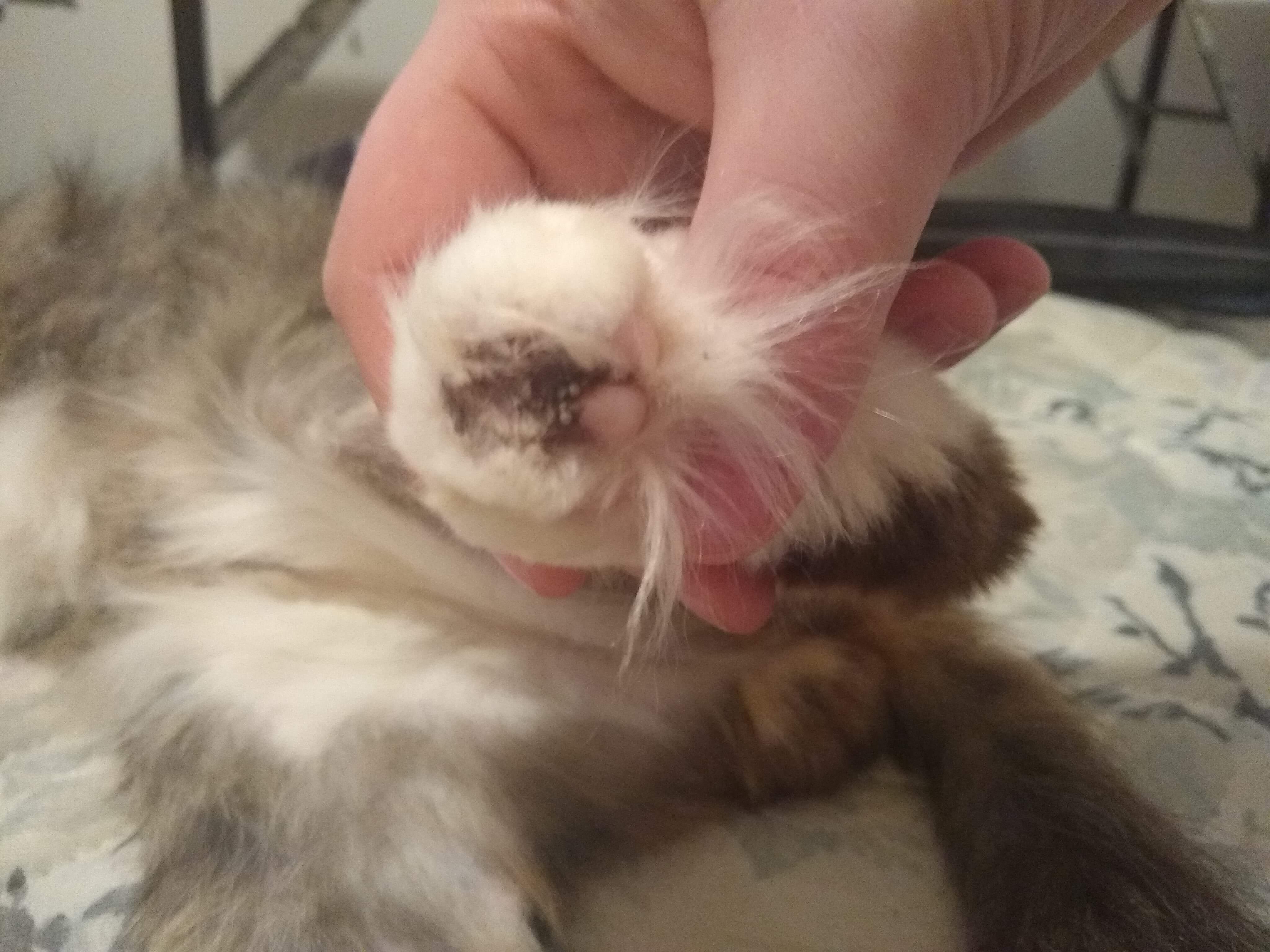 Question details sensitive content