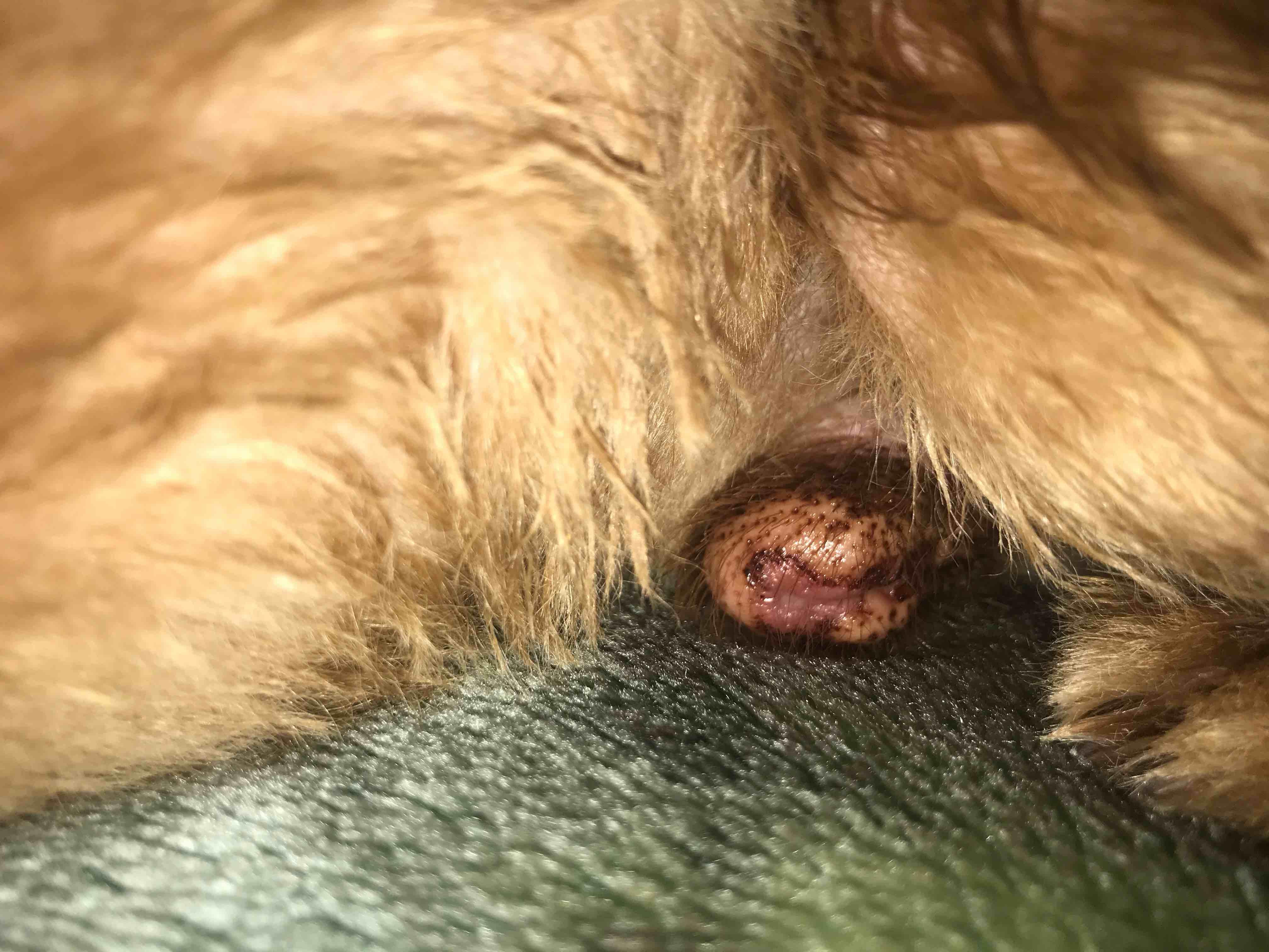 Question details sensitive content