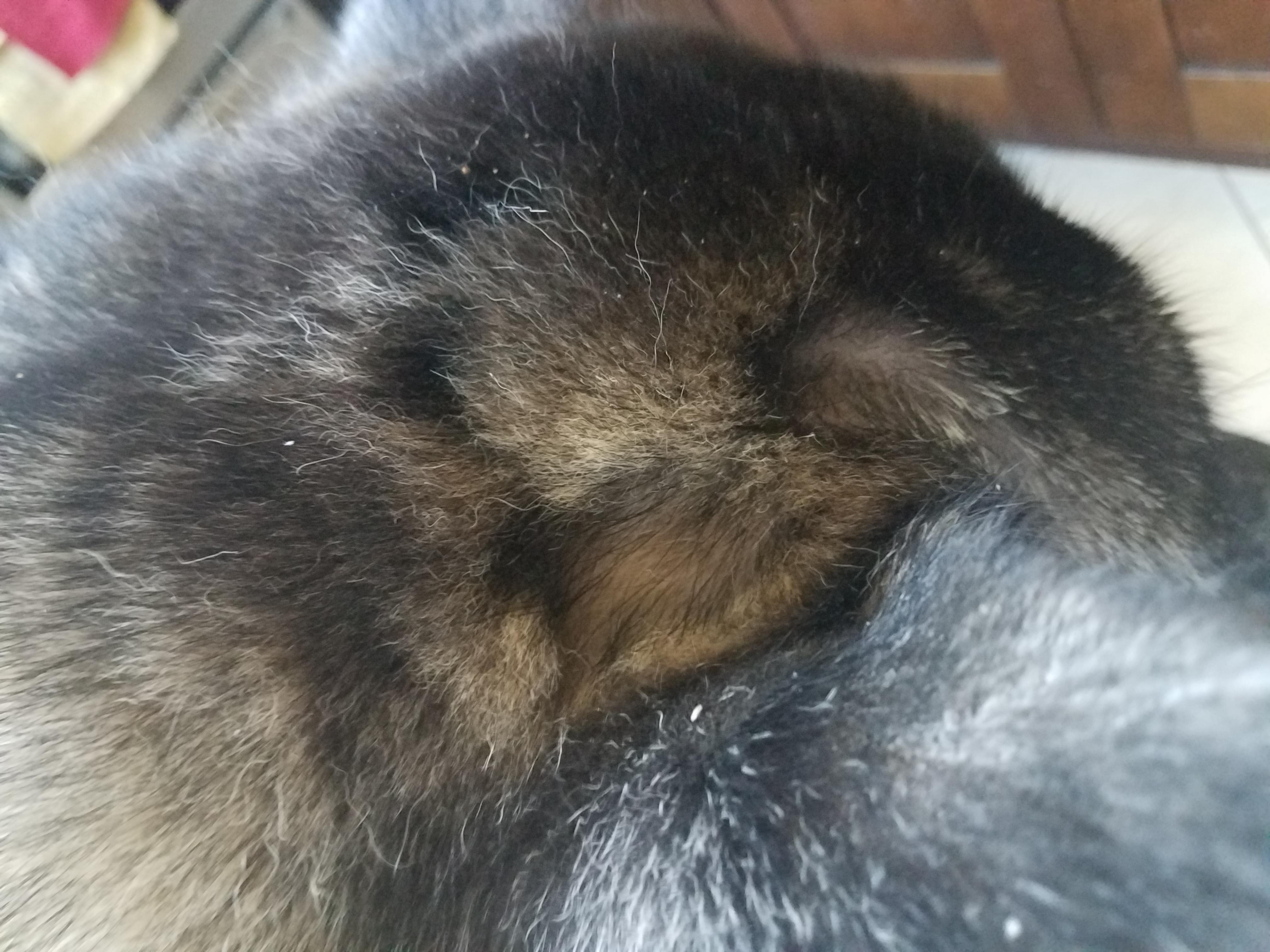 Question details sensitive content