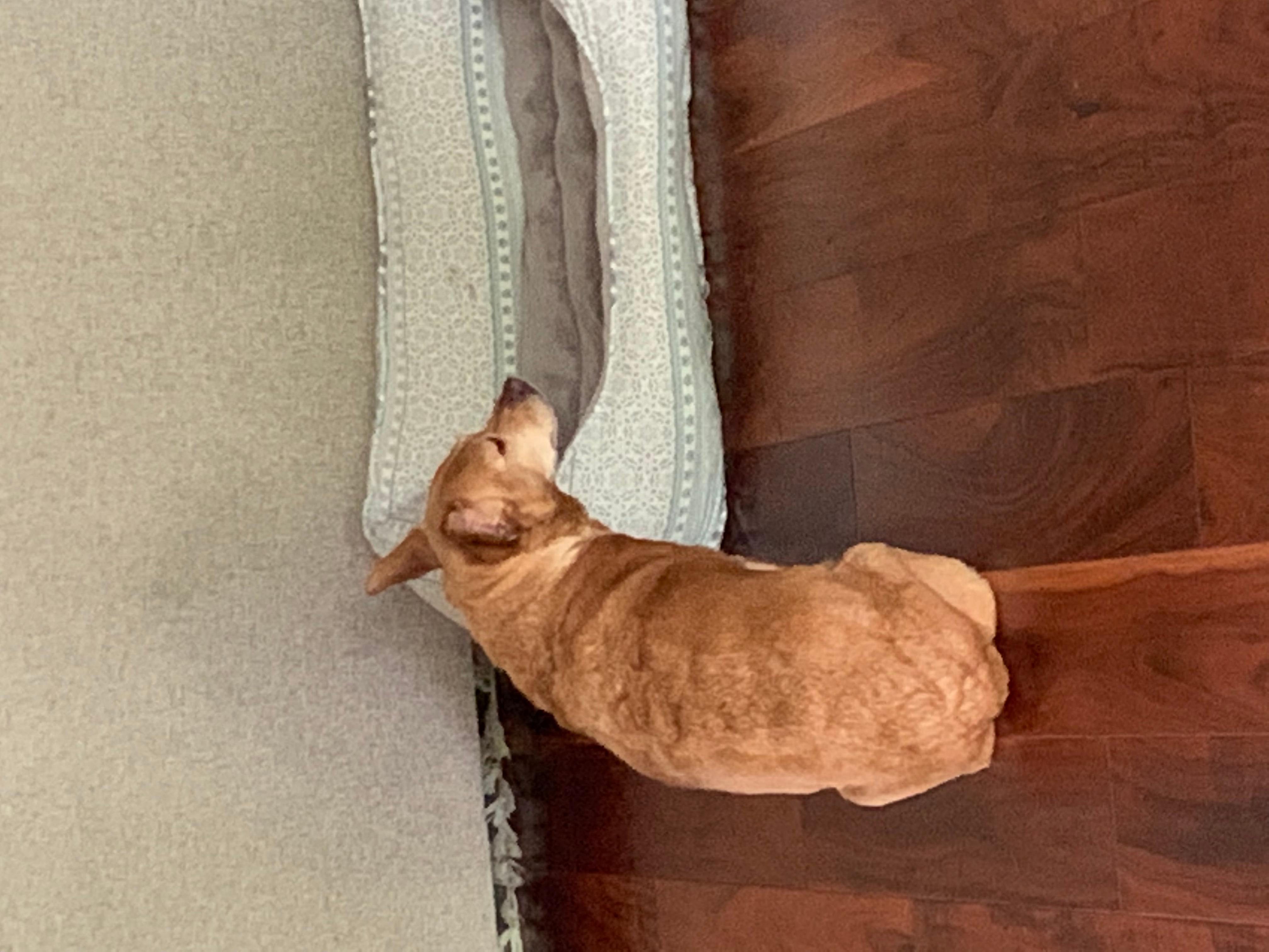 Question details sensitive content