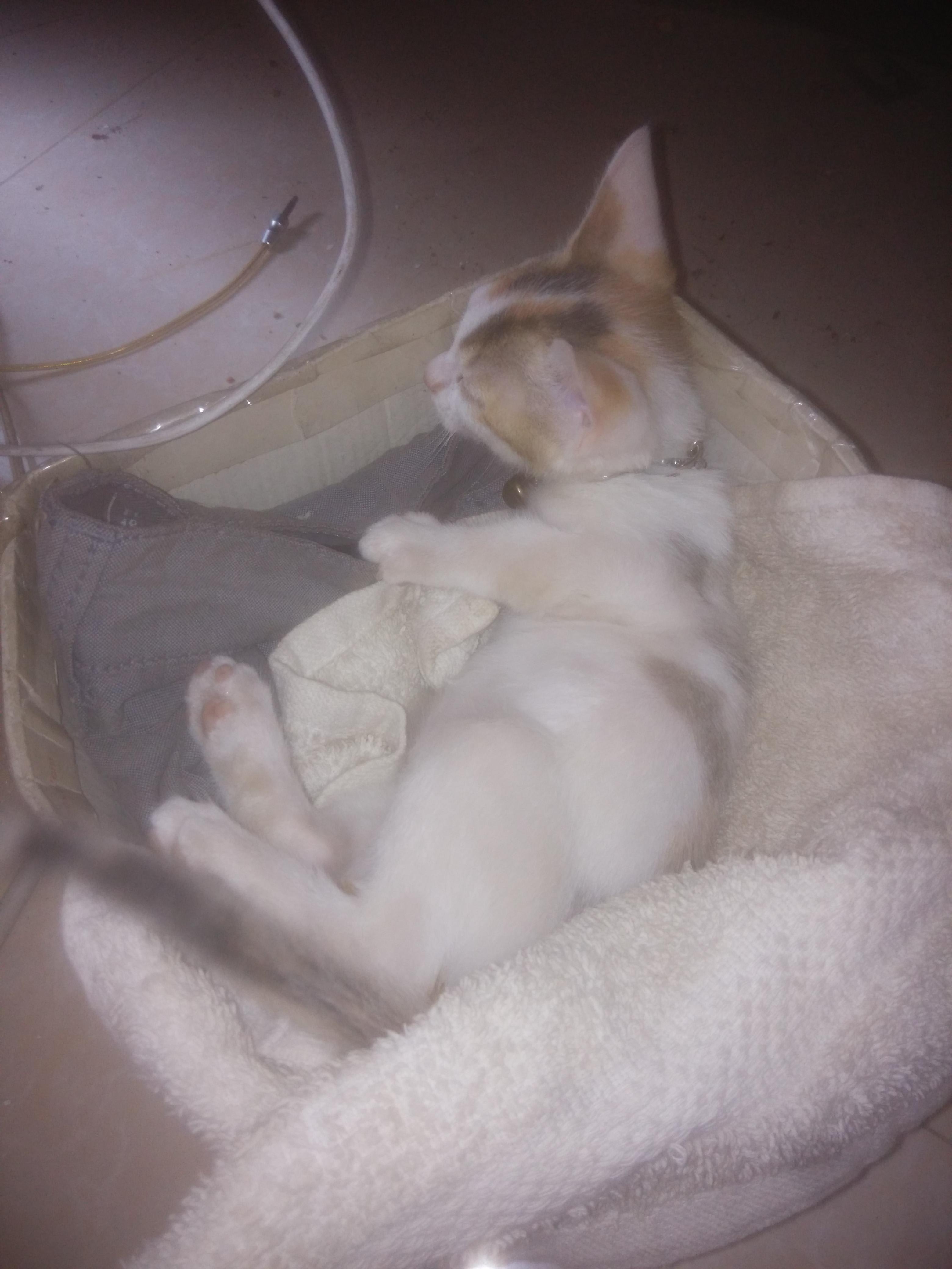 Question details sensitive content