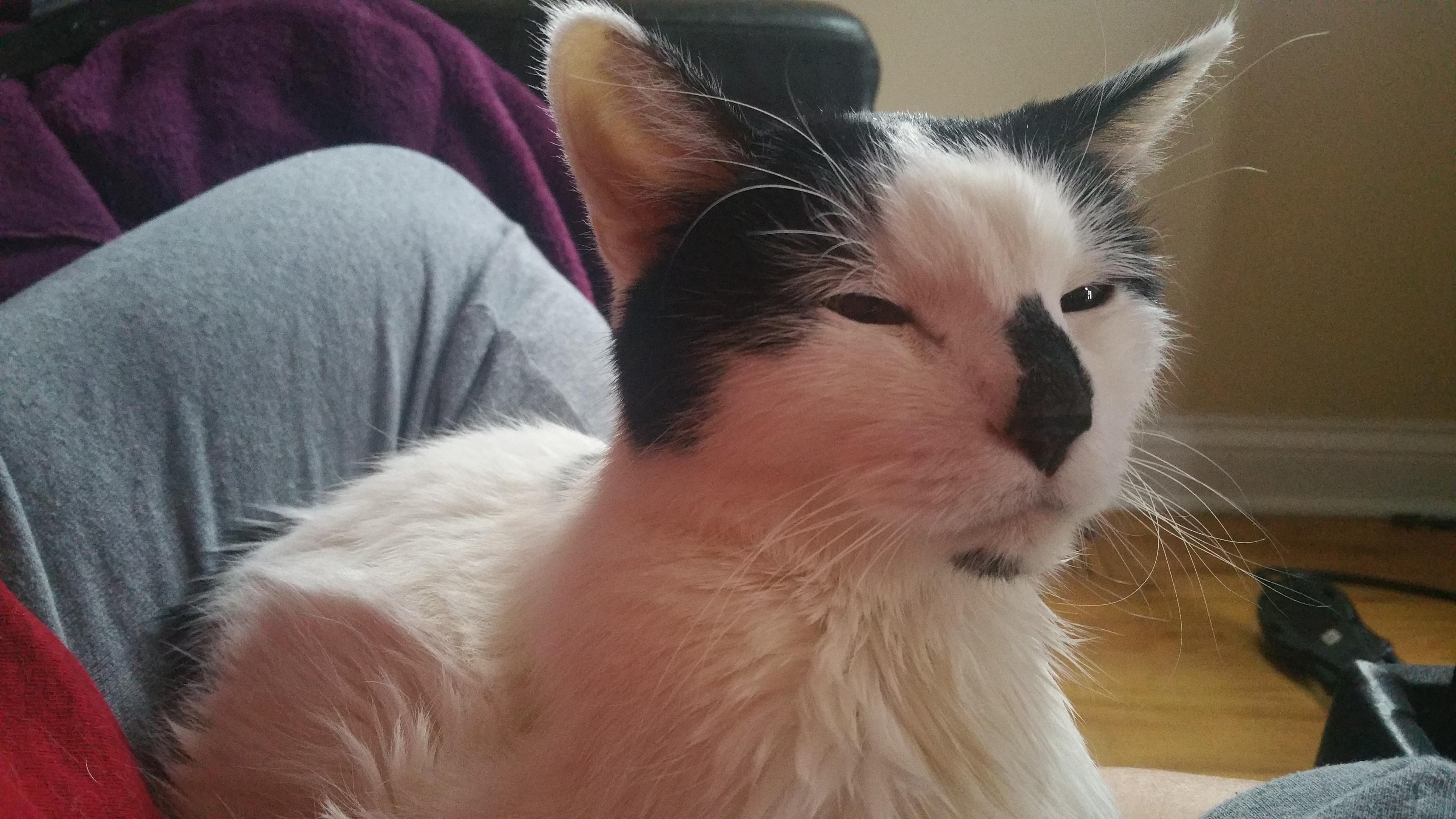 Question details sensitive content