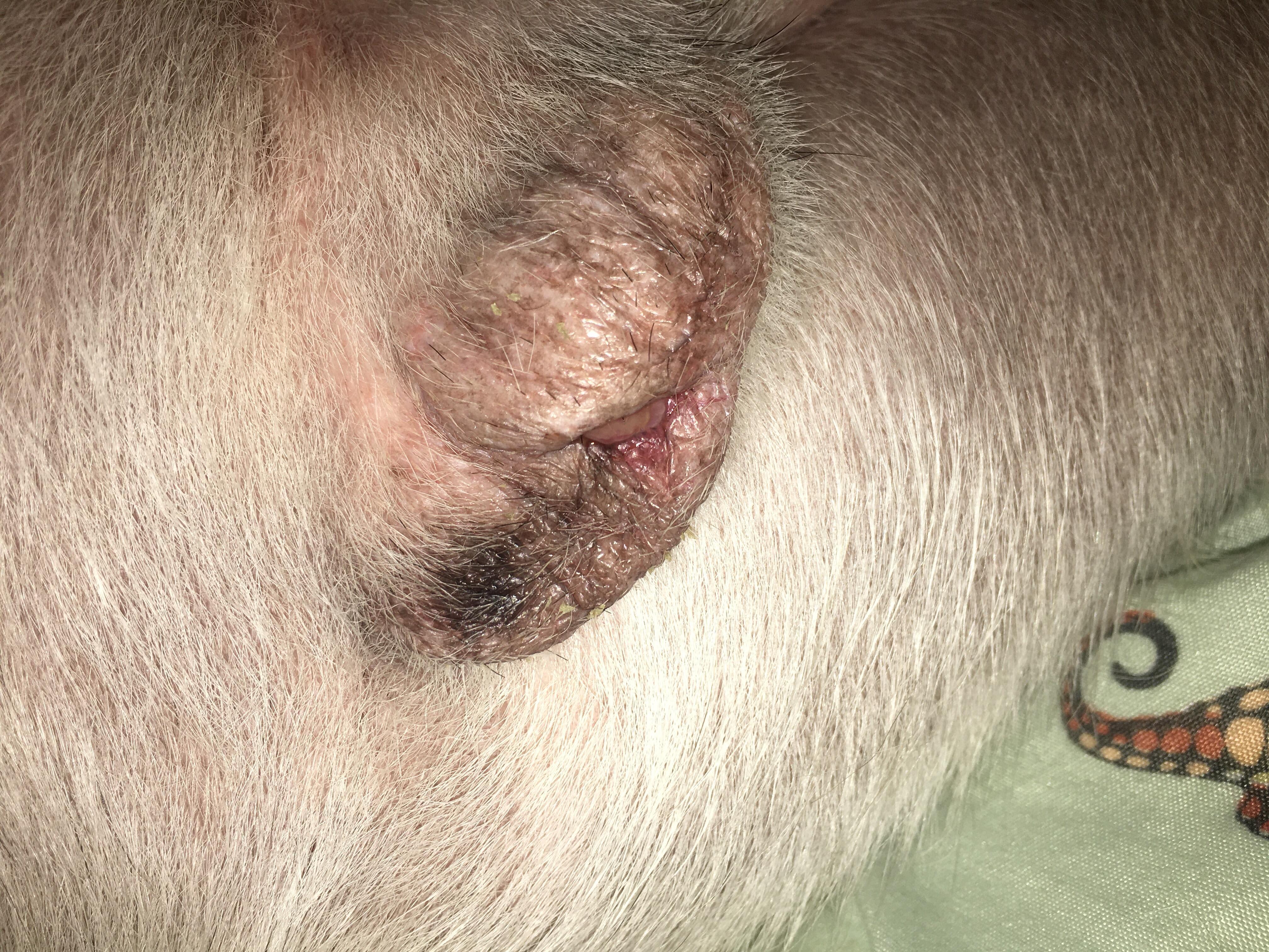 Question details sensitive content