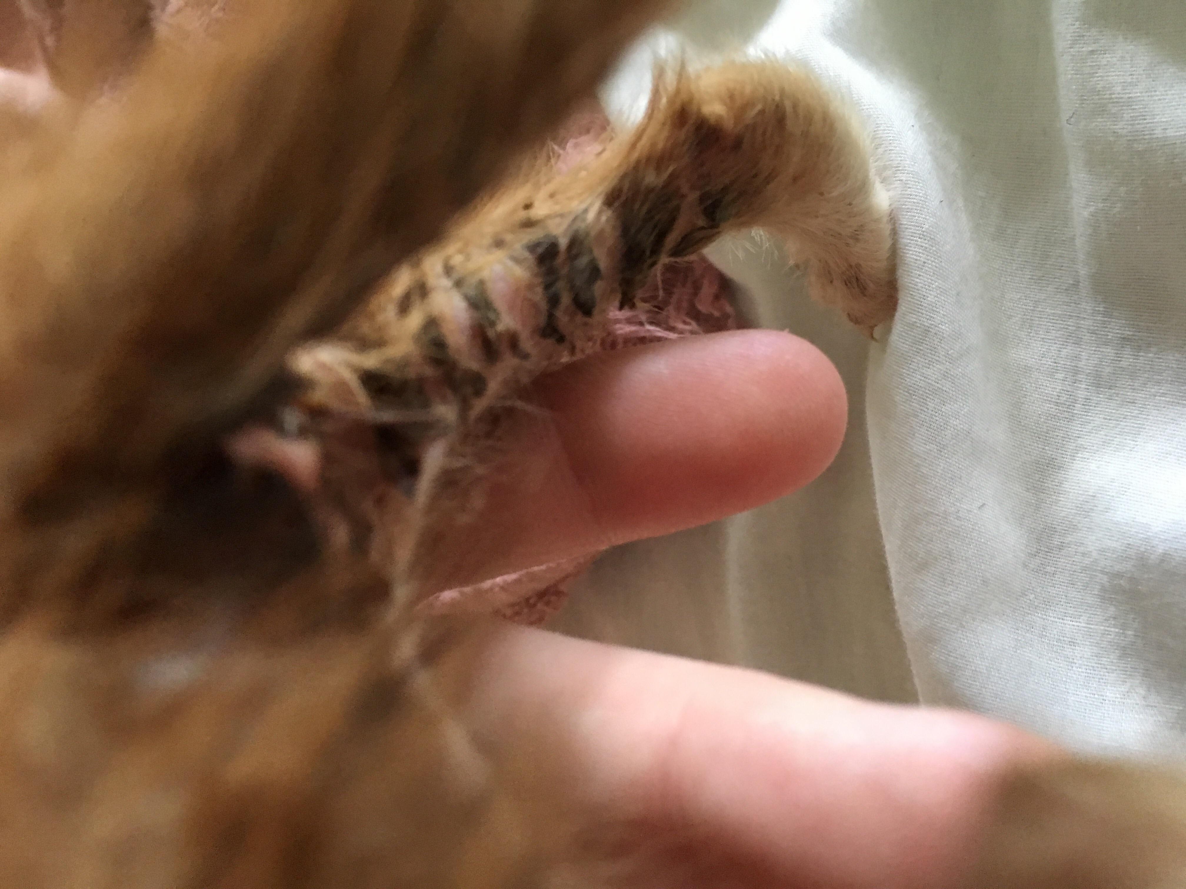 Question details sensitive content