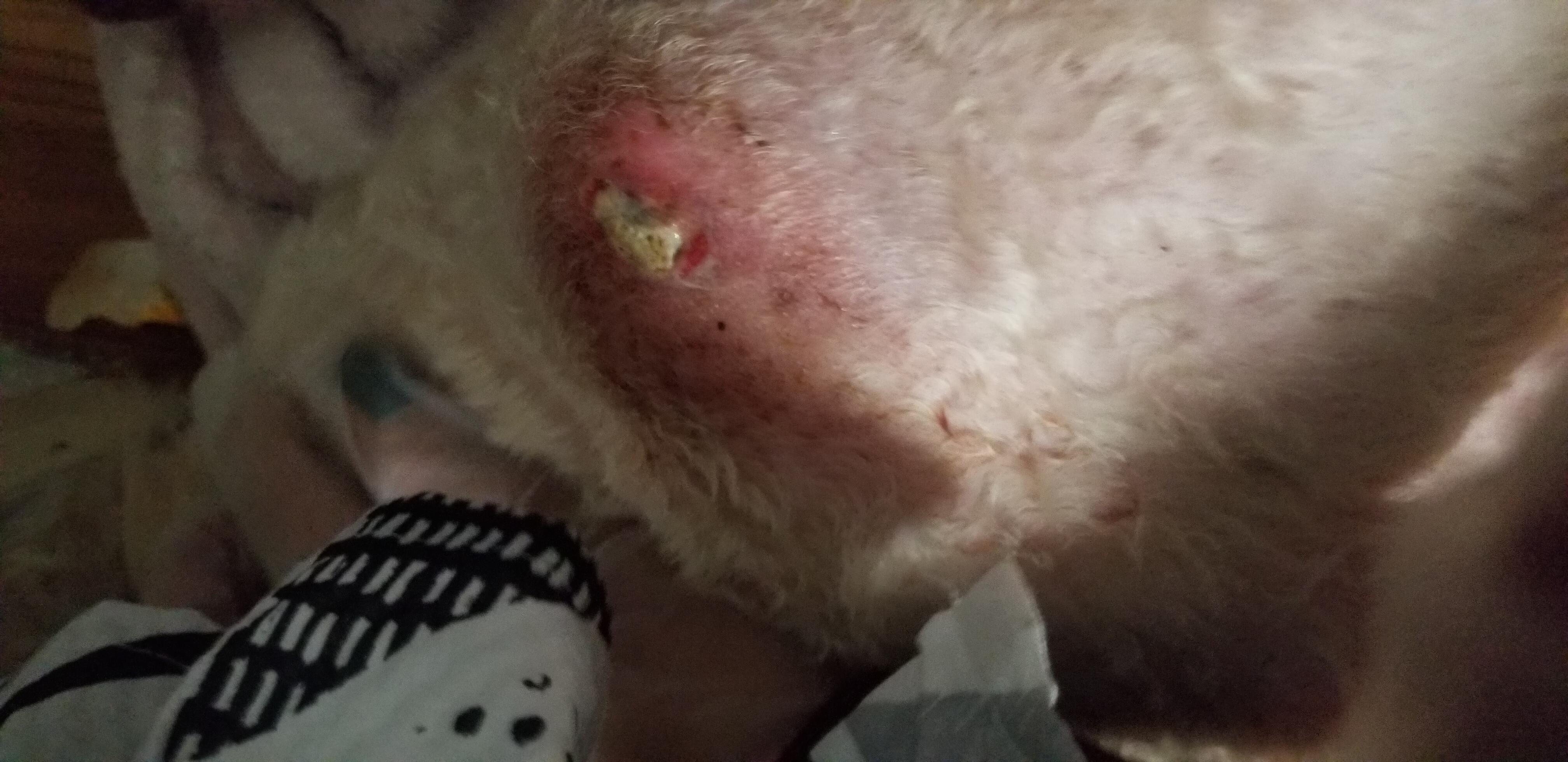 Question details sensitive content