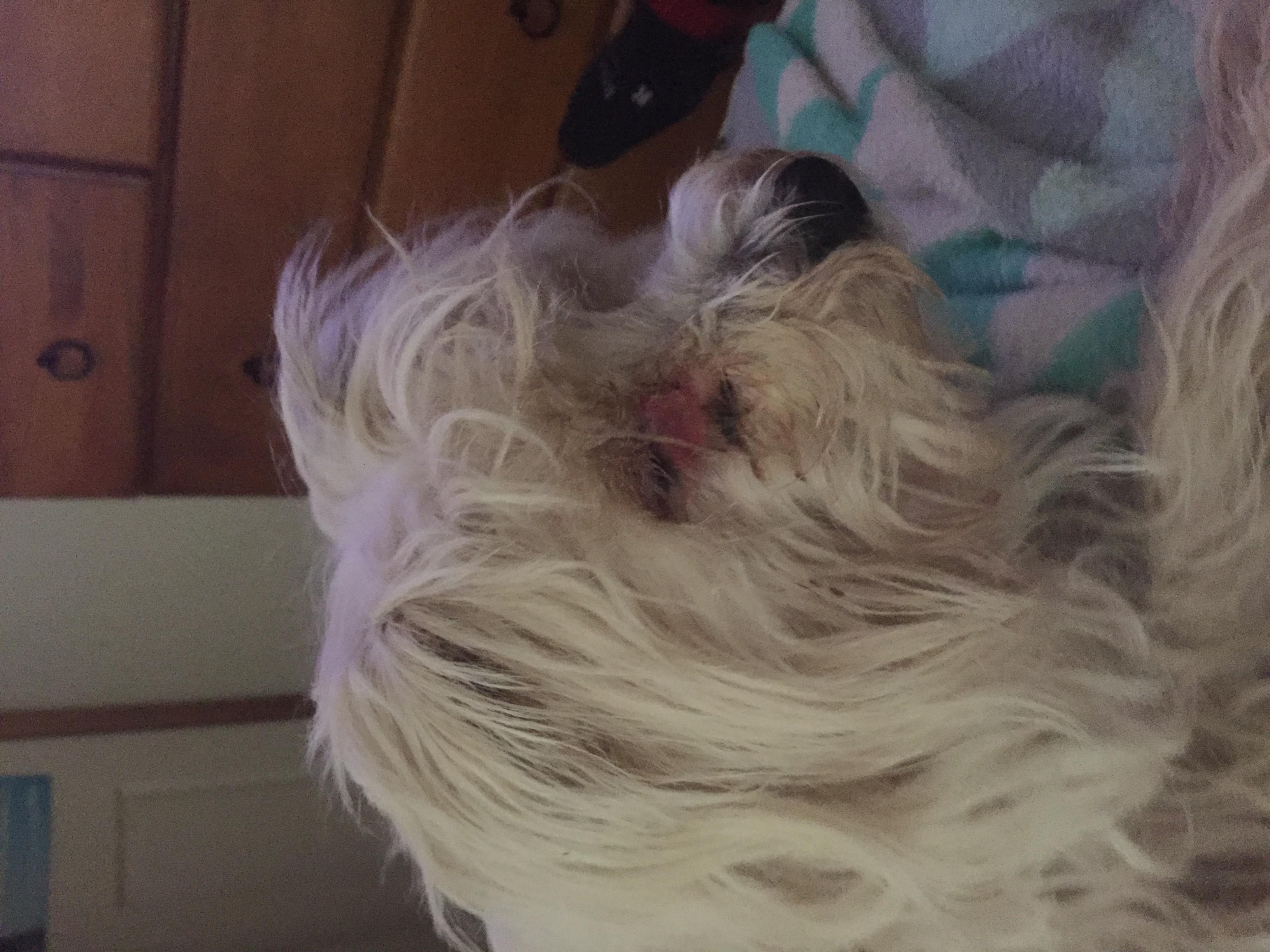 Question details sensitive content