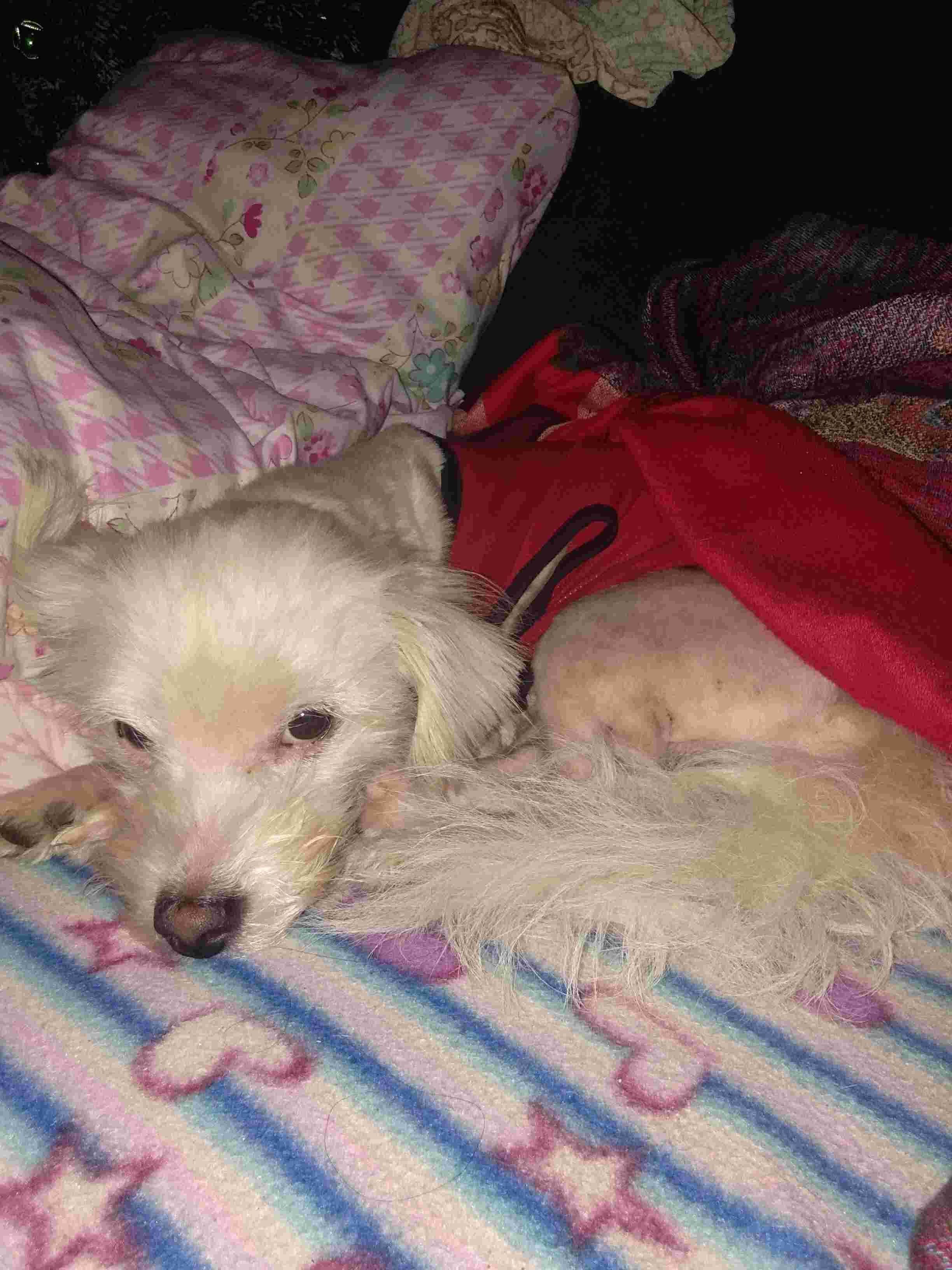 Question details sensitive content