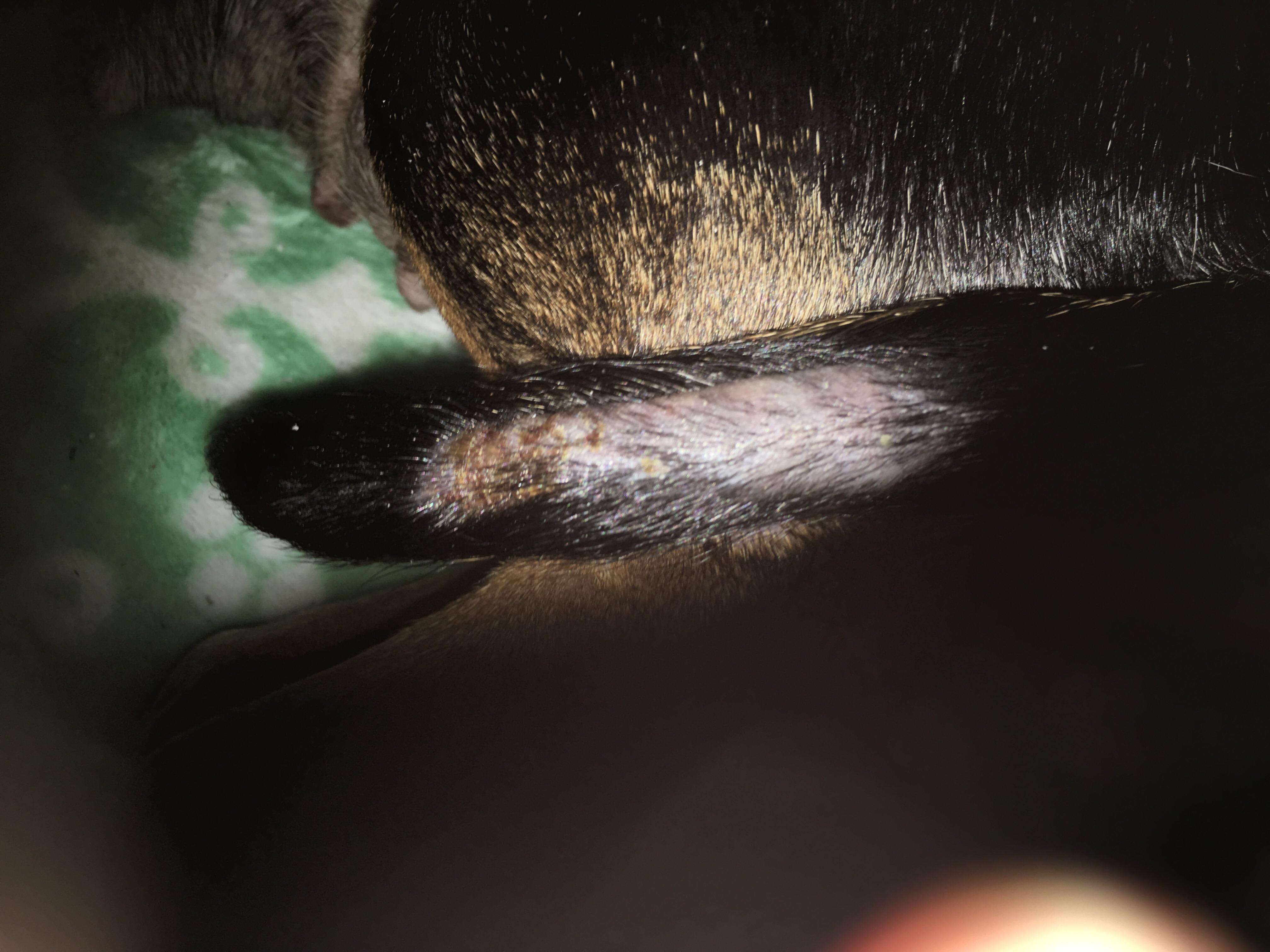 Question details sensitive content