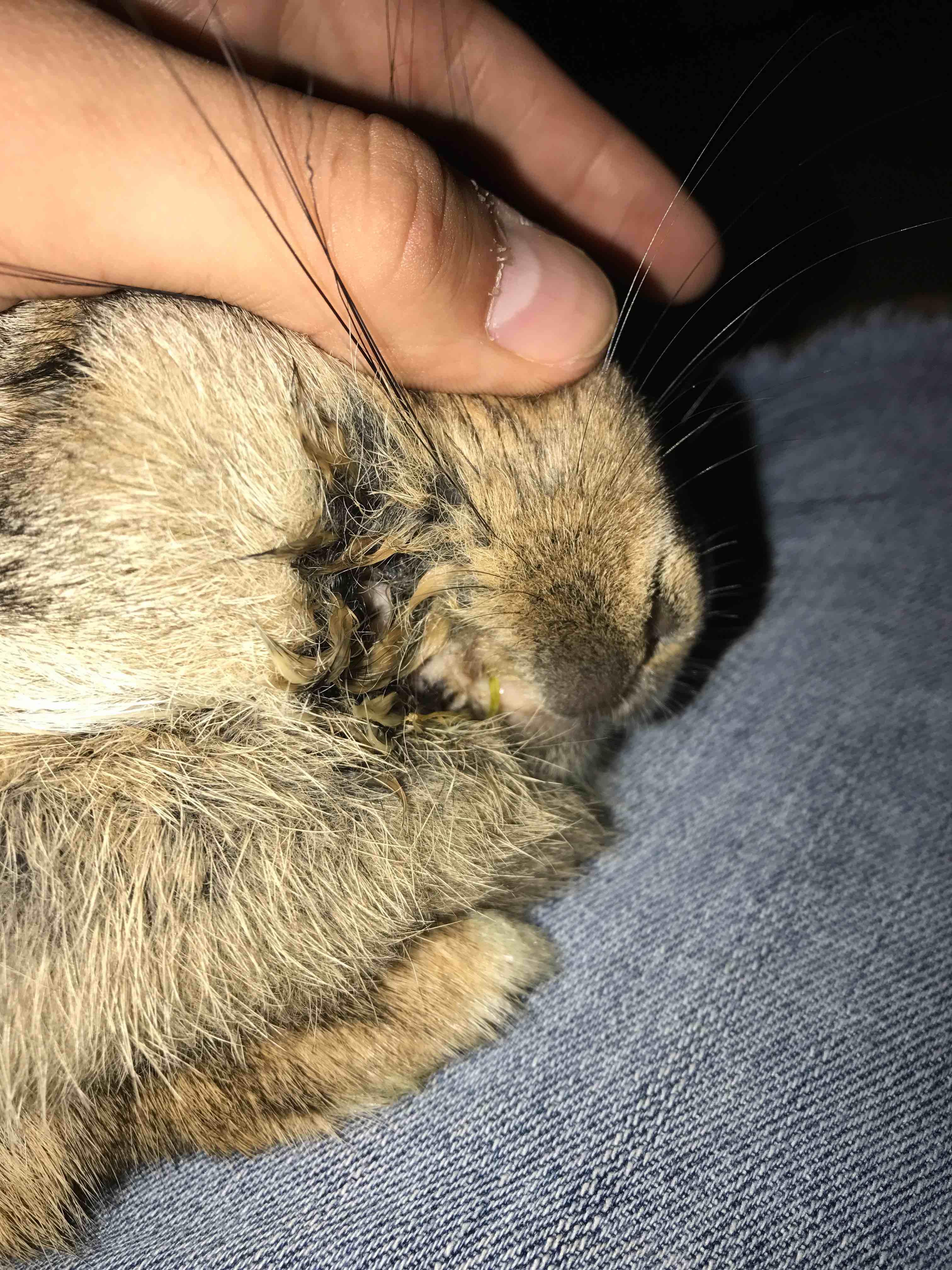 Question details sensitive content