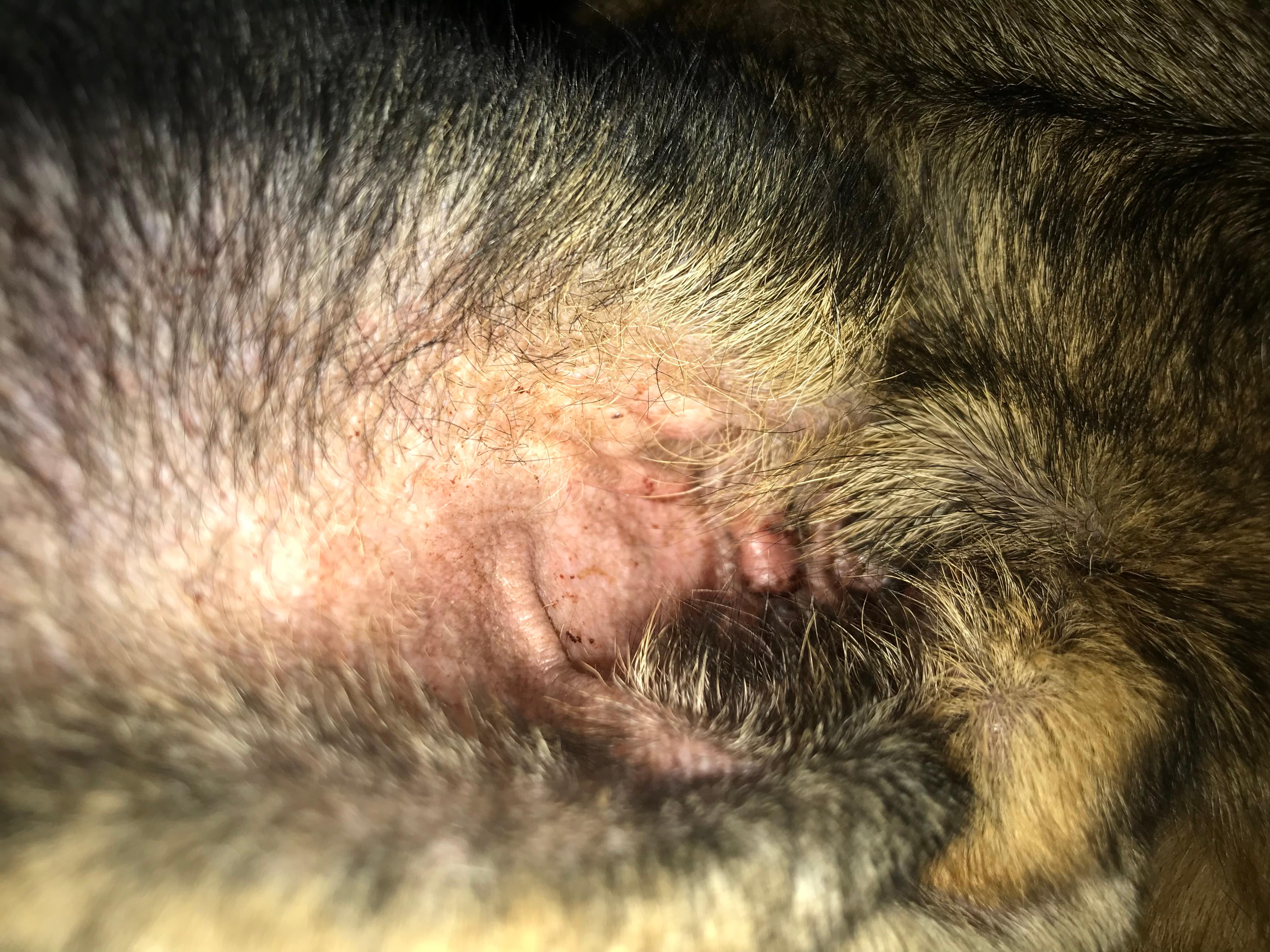 Question details sensitive content