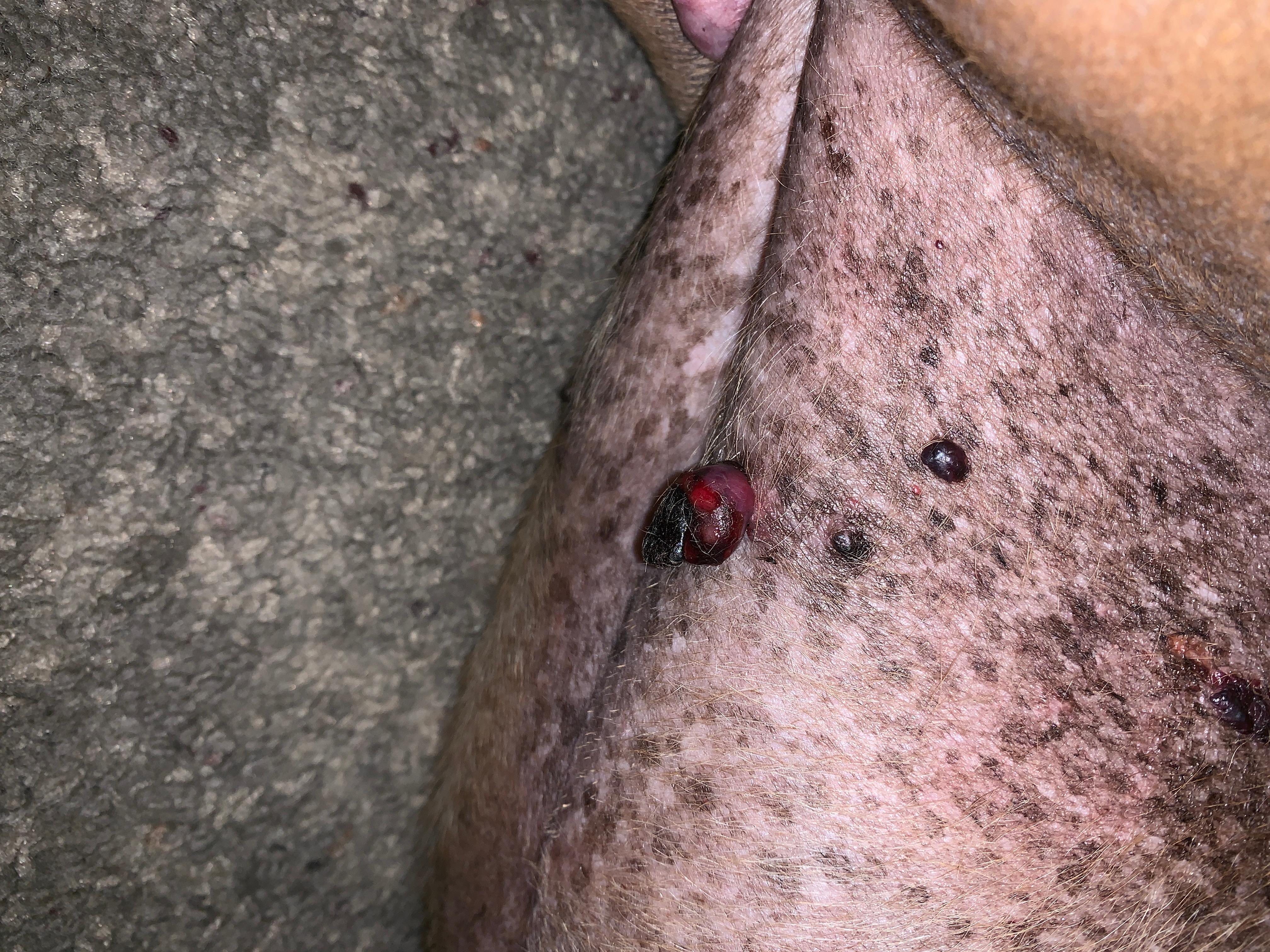 Question details sensitive content