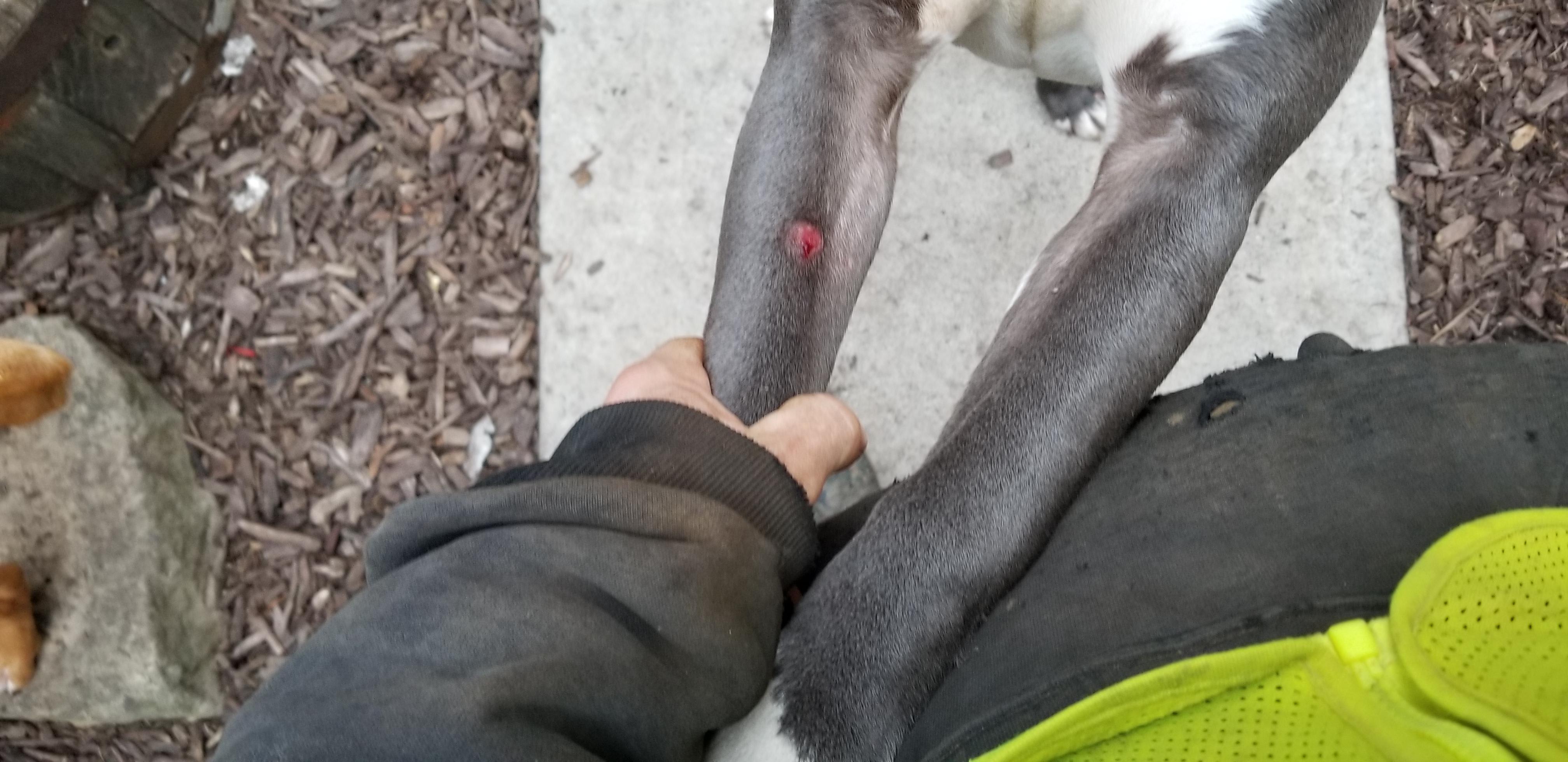 Question details sensitive content