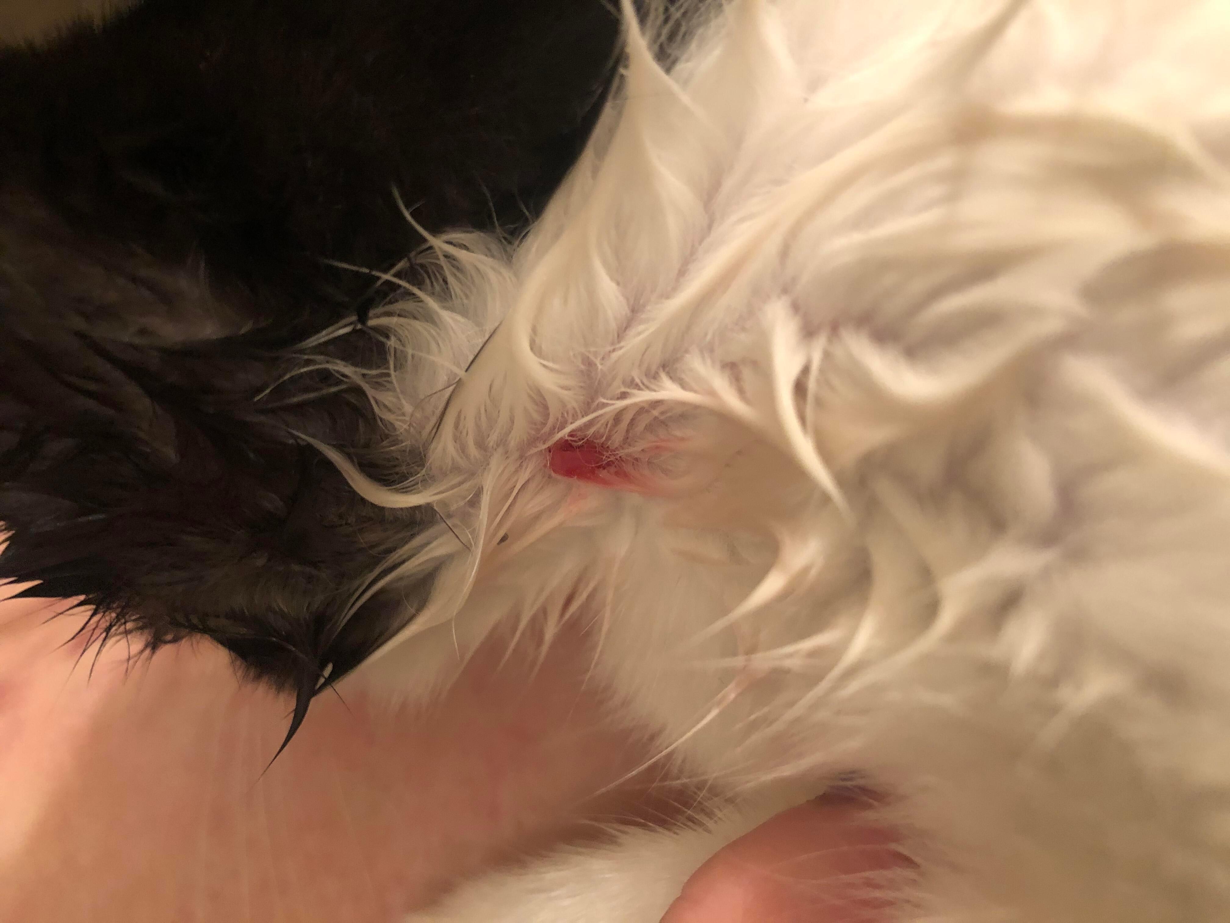 Question details sensitive content