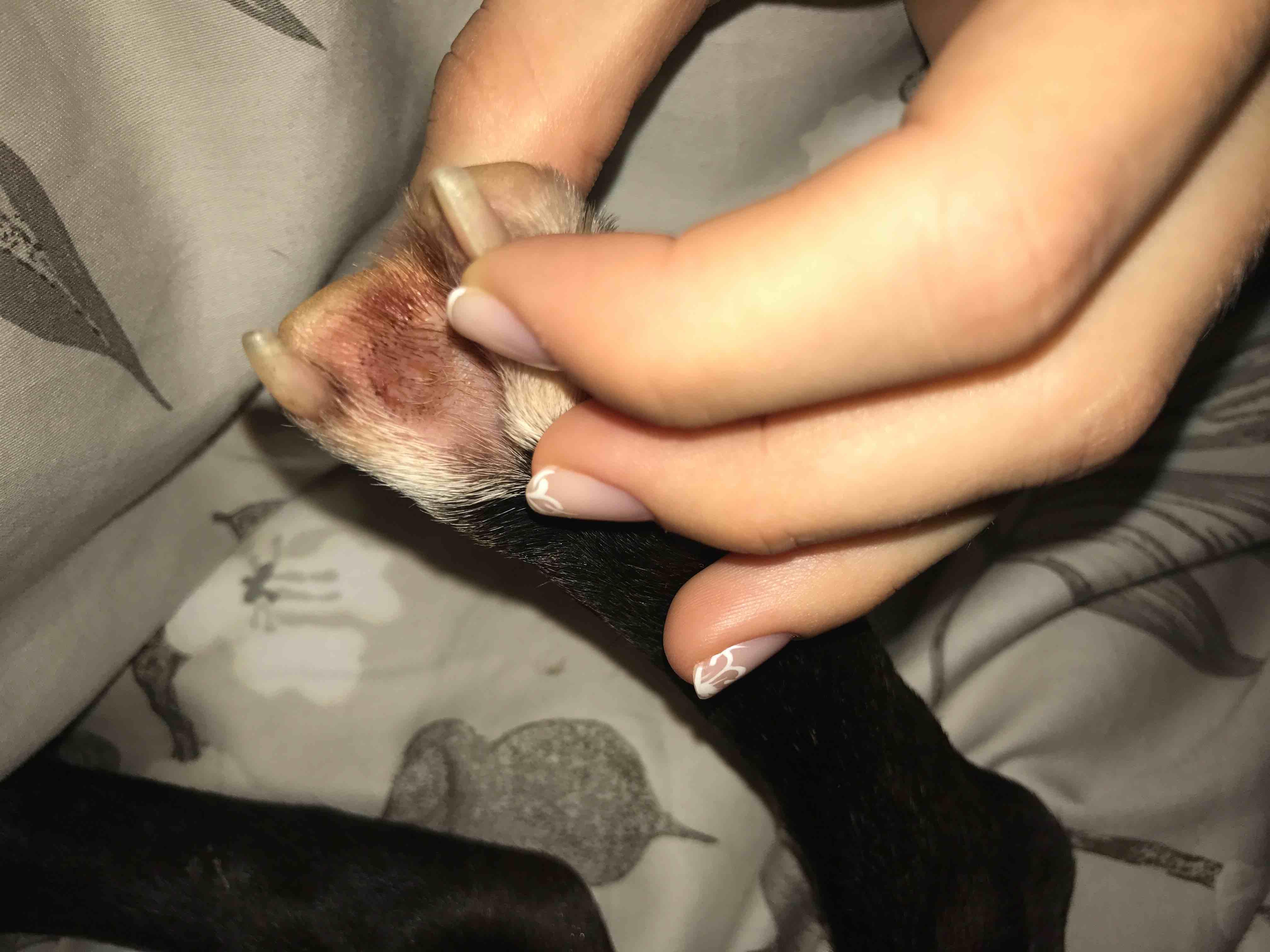 Question details sensitive content