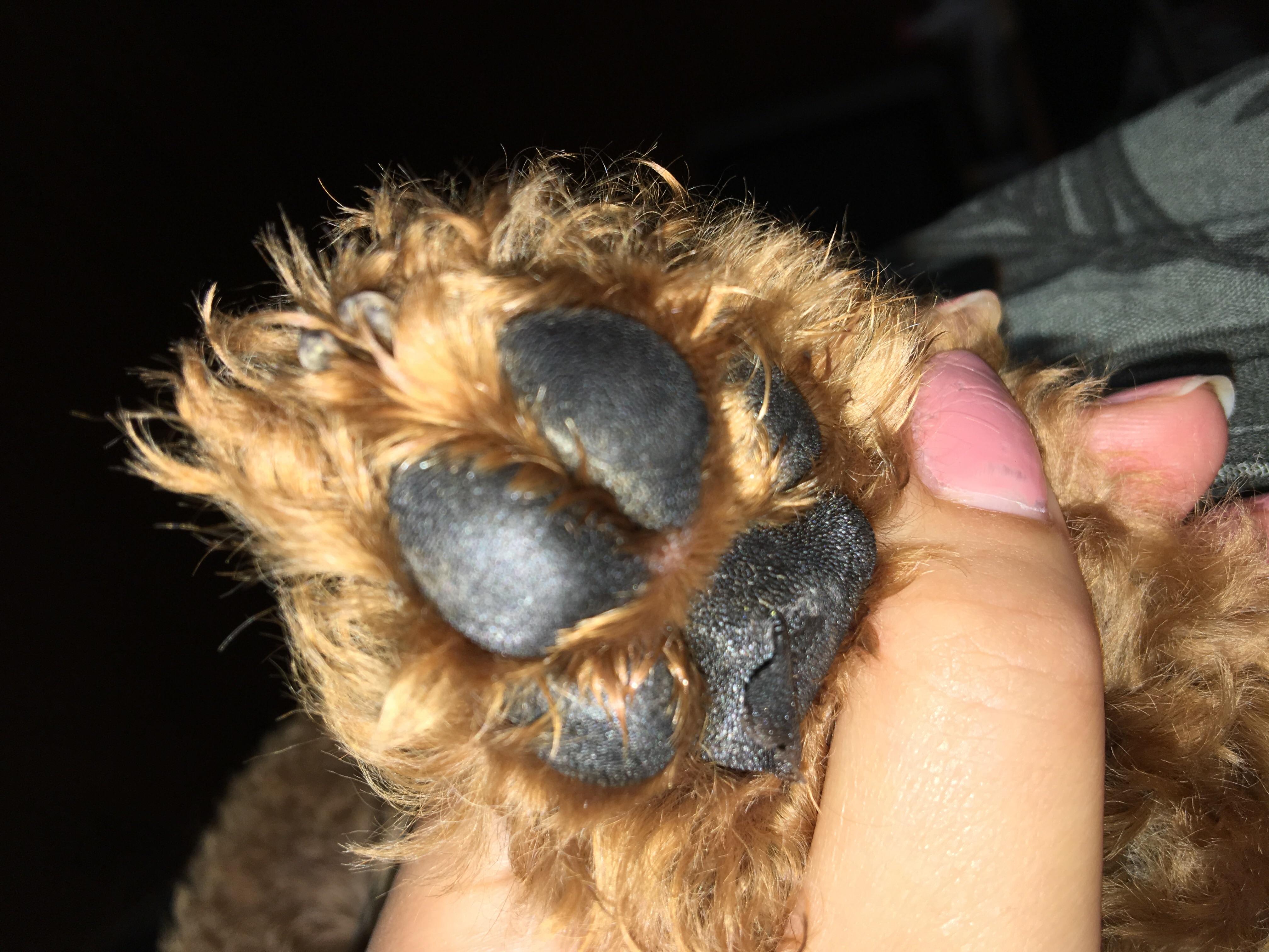 Question details sensitive content