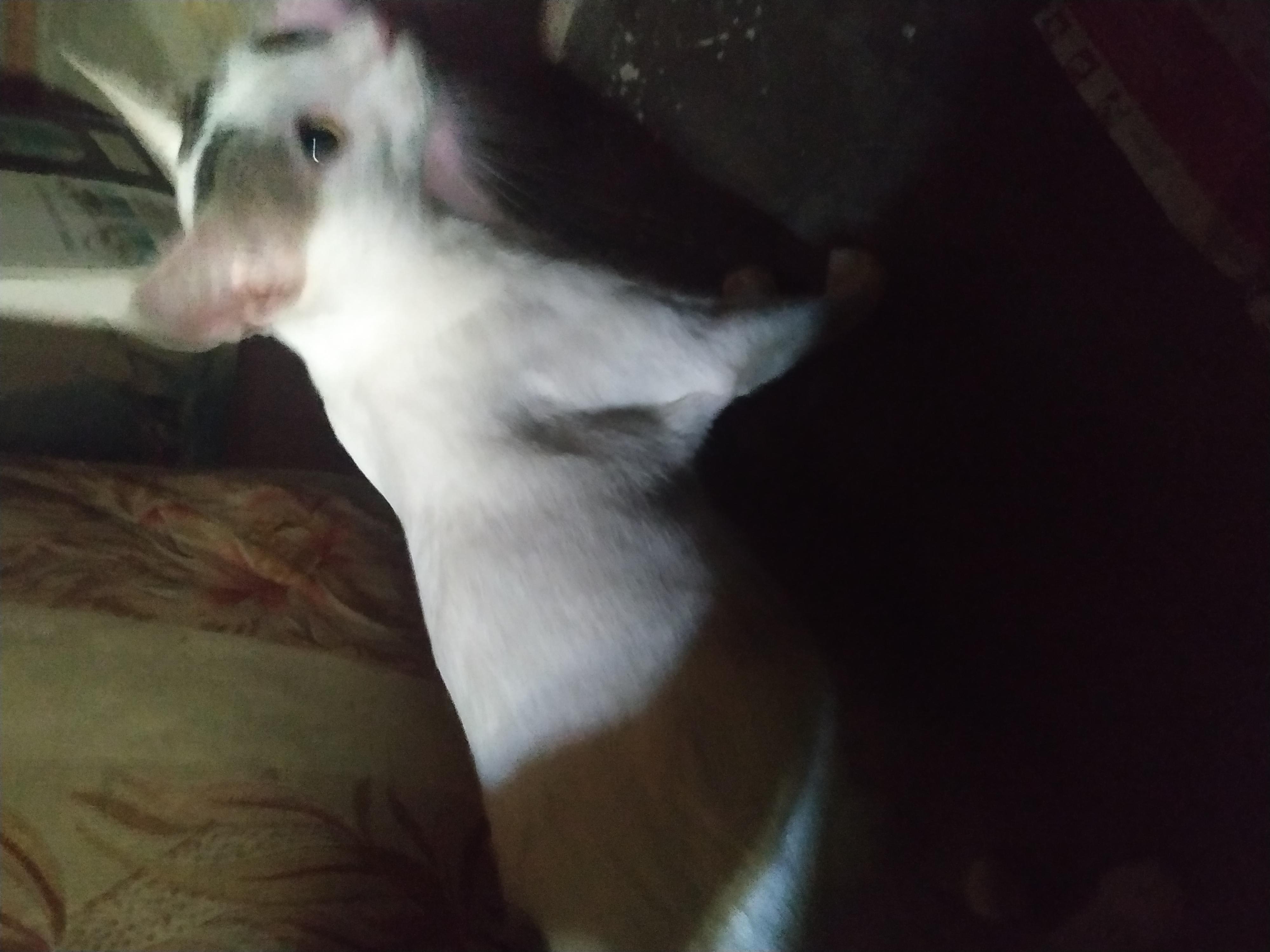 Question details sensitive content